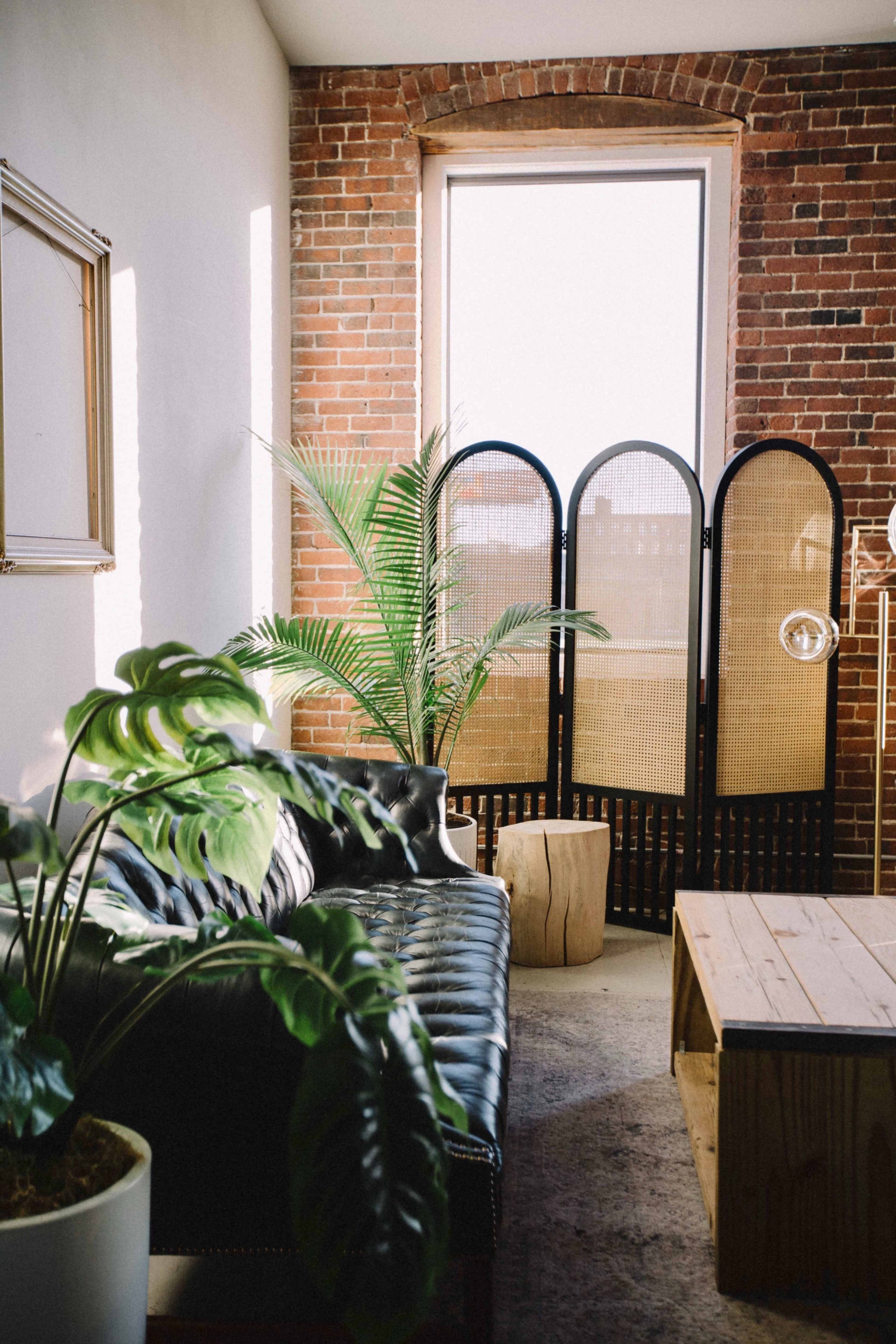 A leather sofa is positioned in a room with exposed brick walls and a large window, while a potted plant and a wooden table enhance the decor.