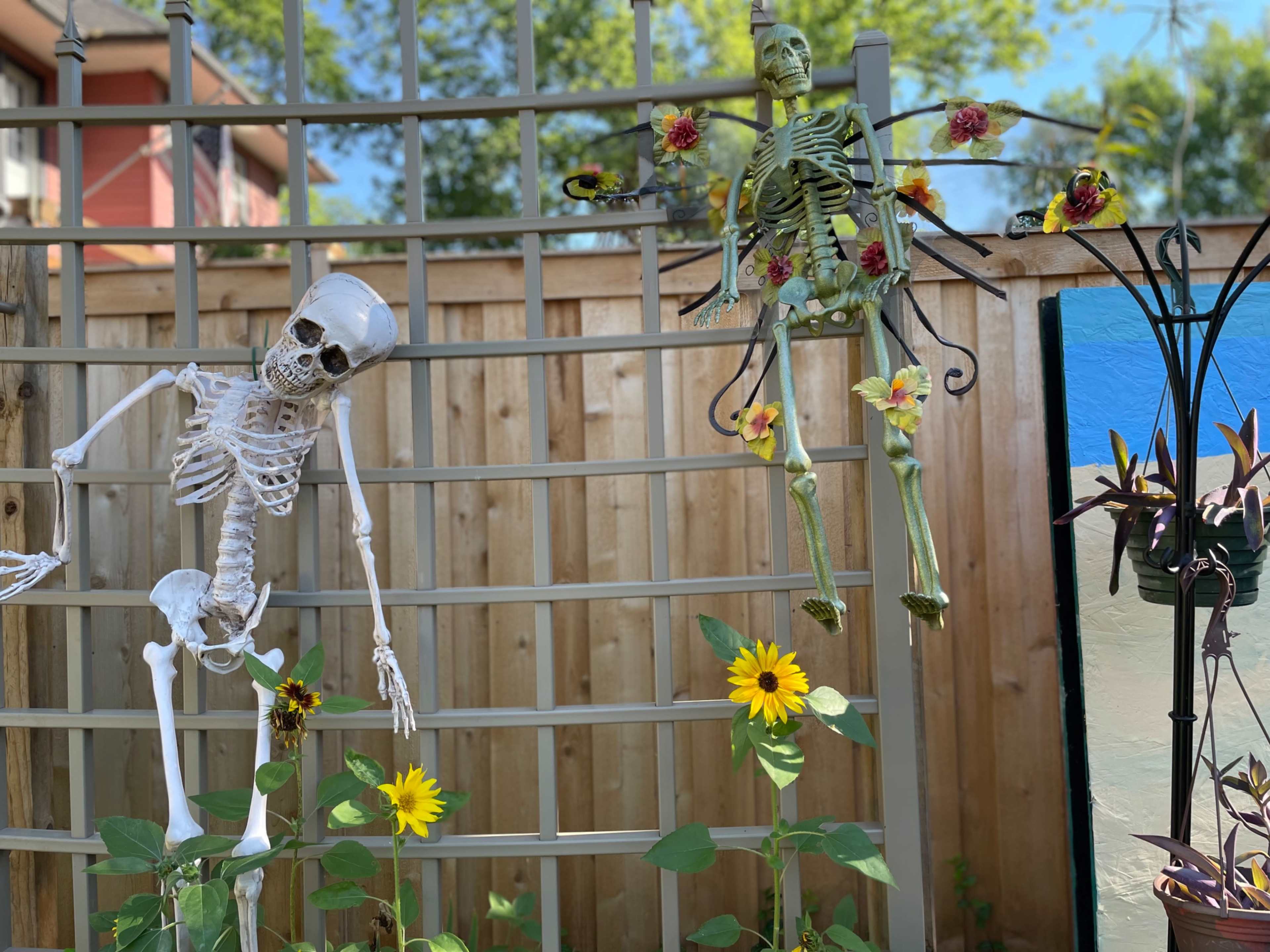 Two skeletal decorations are hanging from a wooden trellis adorned with sunflowers and tropical flowers.