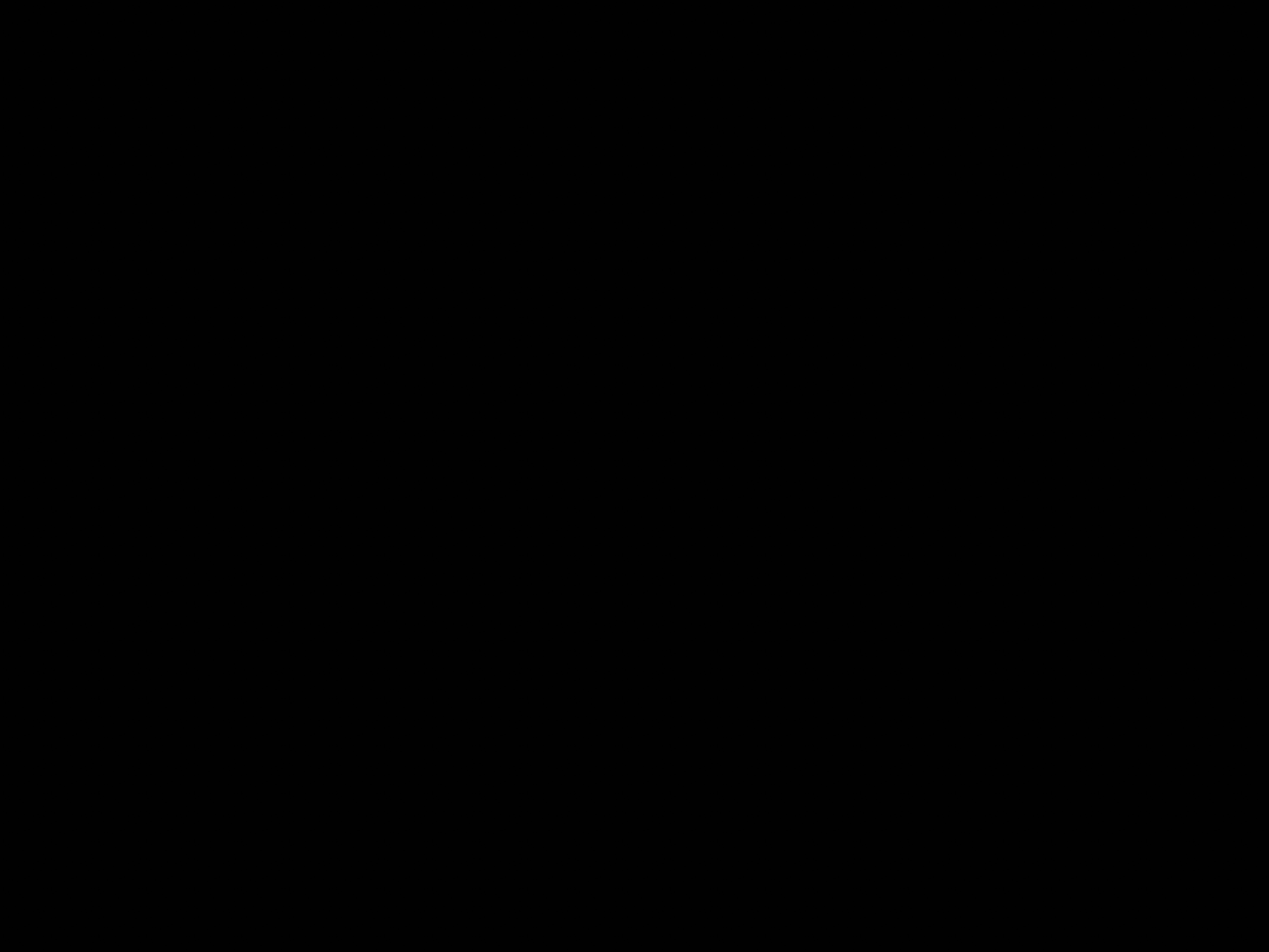 Seamless Paper ( Full Sweep ) - Black