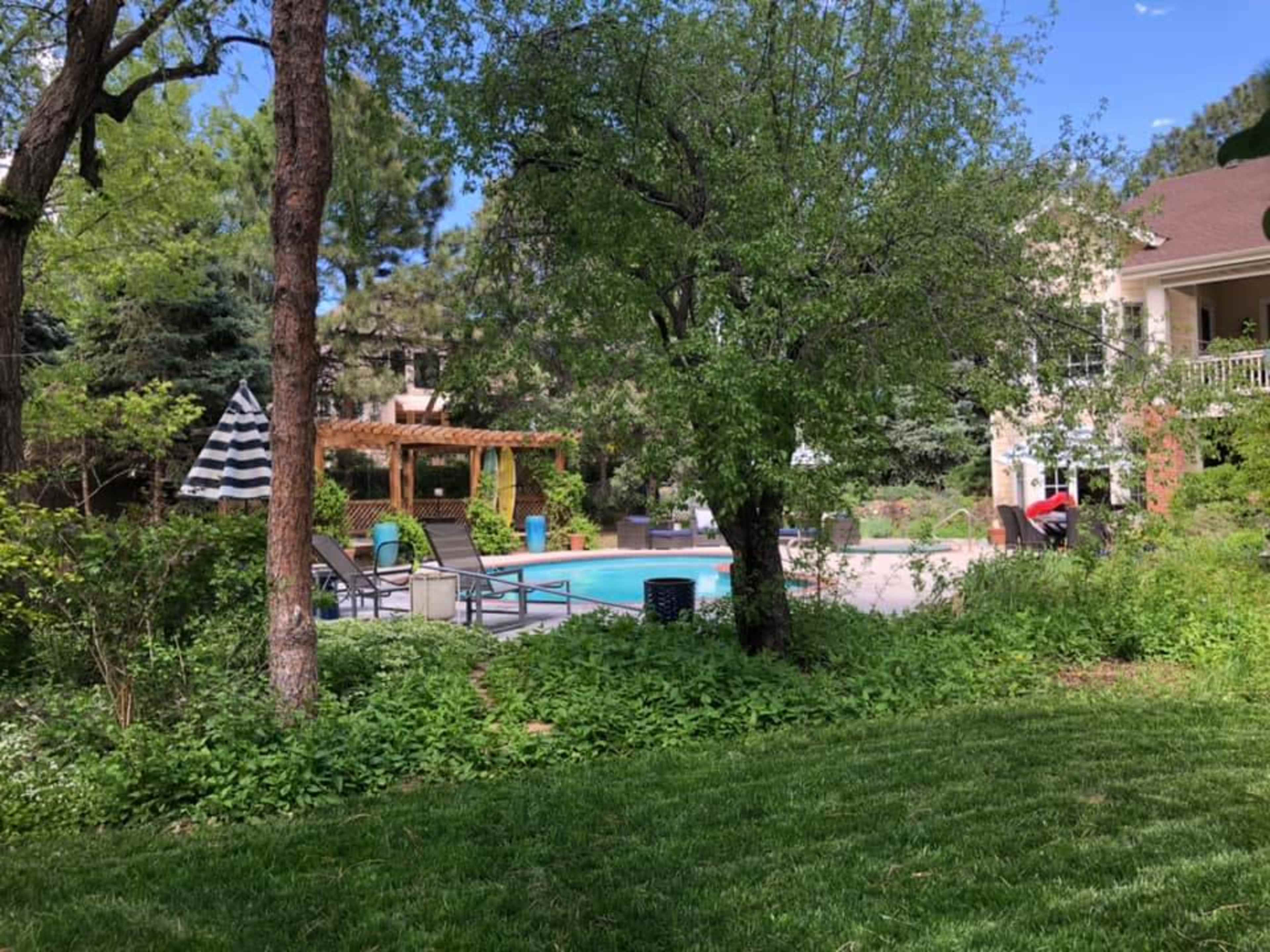 A backyard features a swimming pool surrounded by lounge chairs, a pergola, and lush greenery.