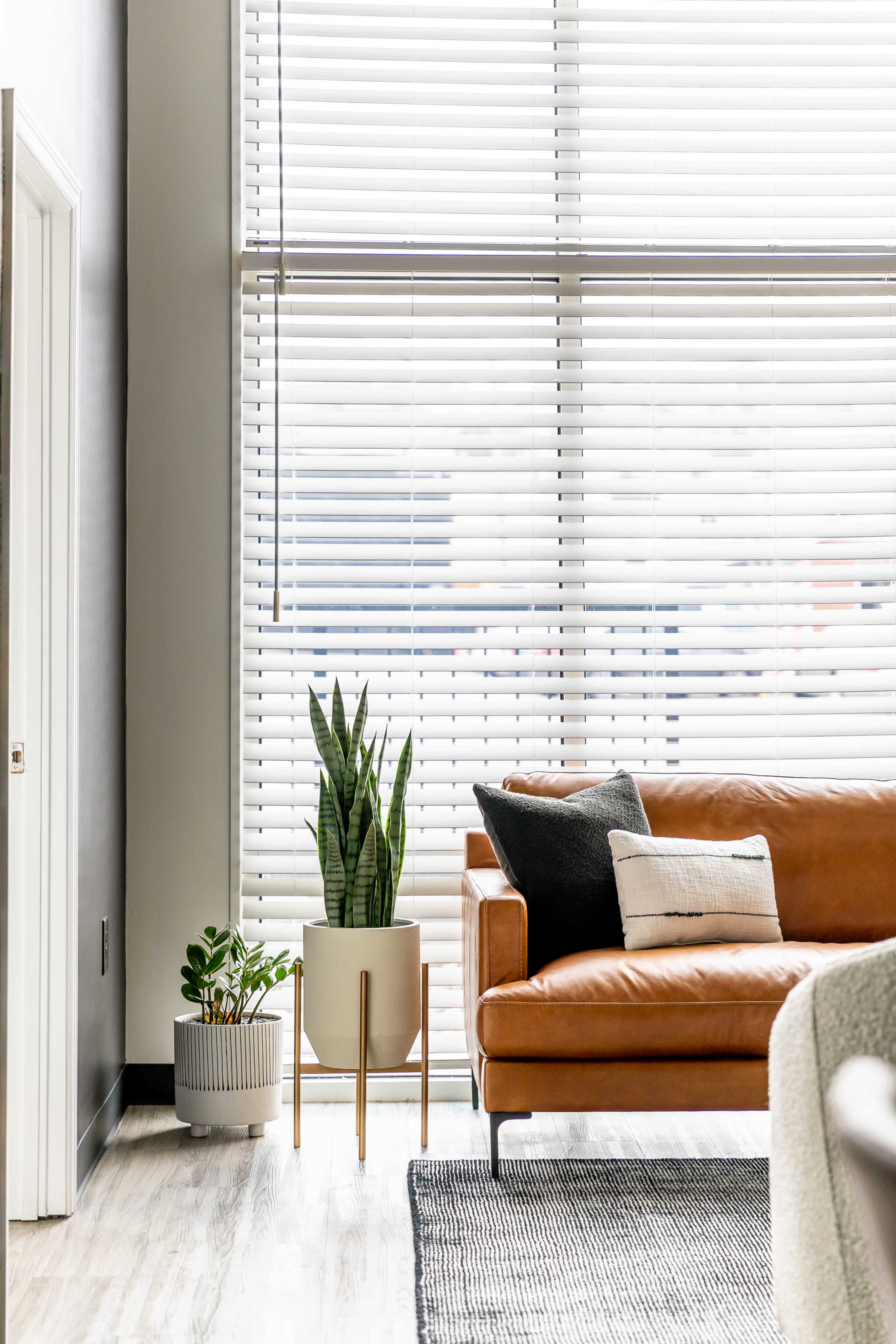 A modern living room features a leather sofa, potted plants, and large windows with blinds.