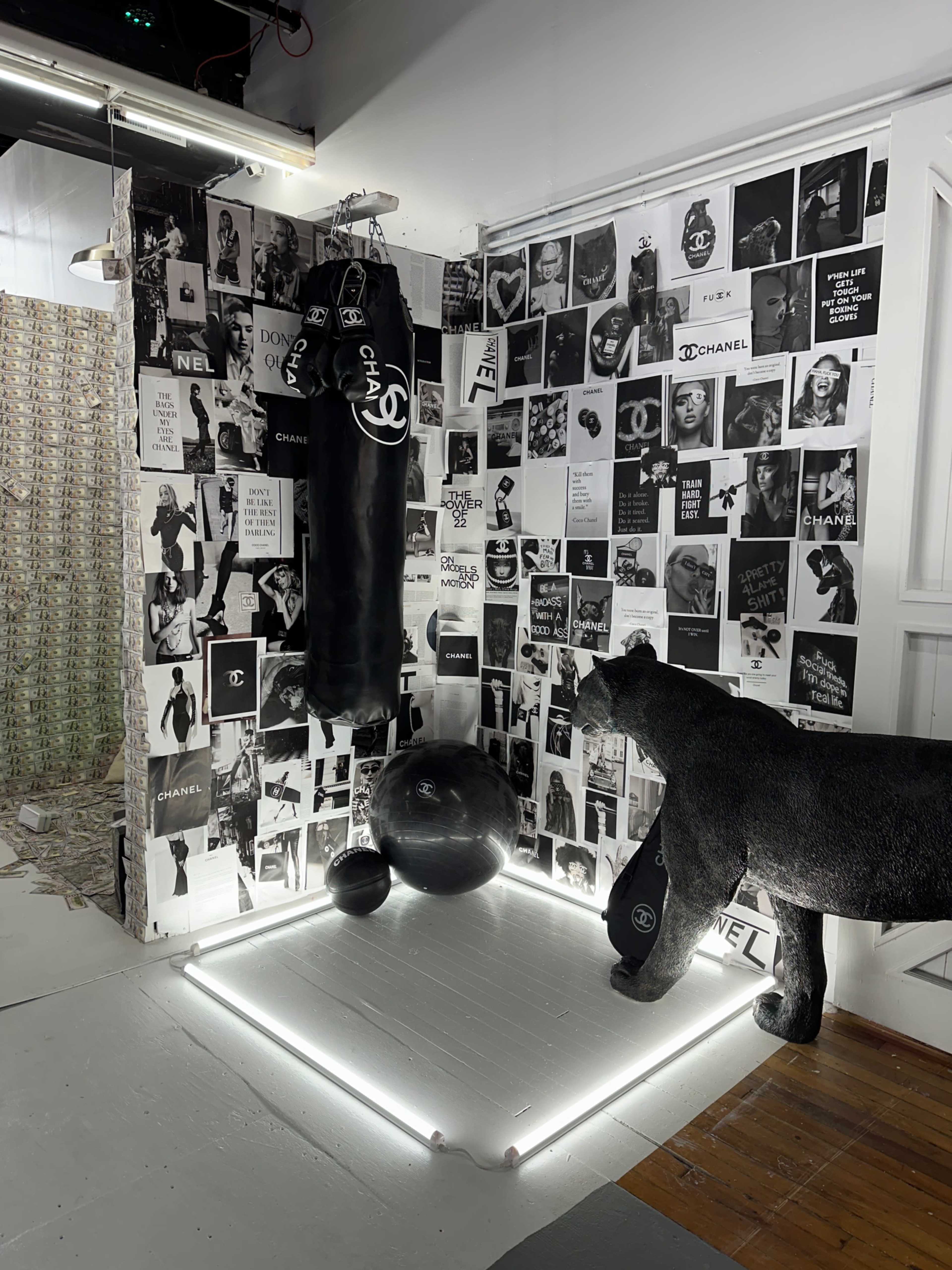 The image shows a small room decorated with black-and-white photographs on the walls, featuring a punching bag and a black panther sculpture on a white lighted platform.