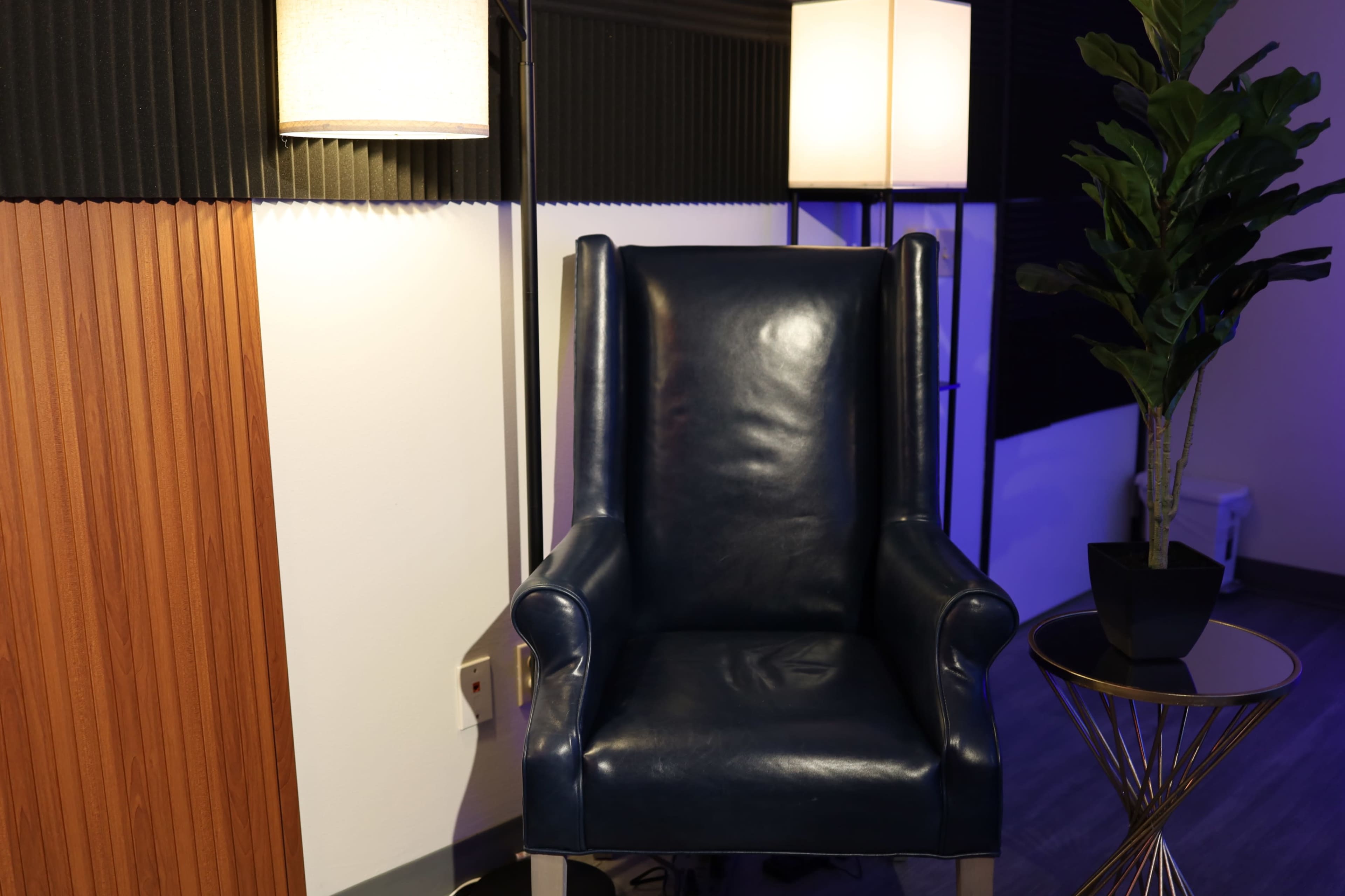 Intimate Podcast Social Media Studio with Dynamic Lighting Image in Woodland Hills, Woodland Hills, CA