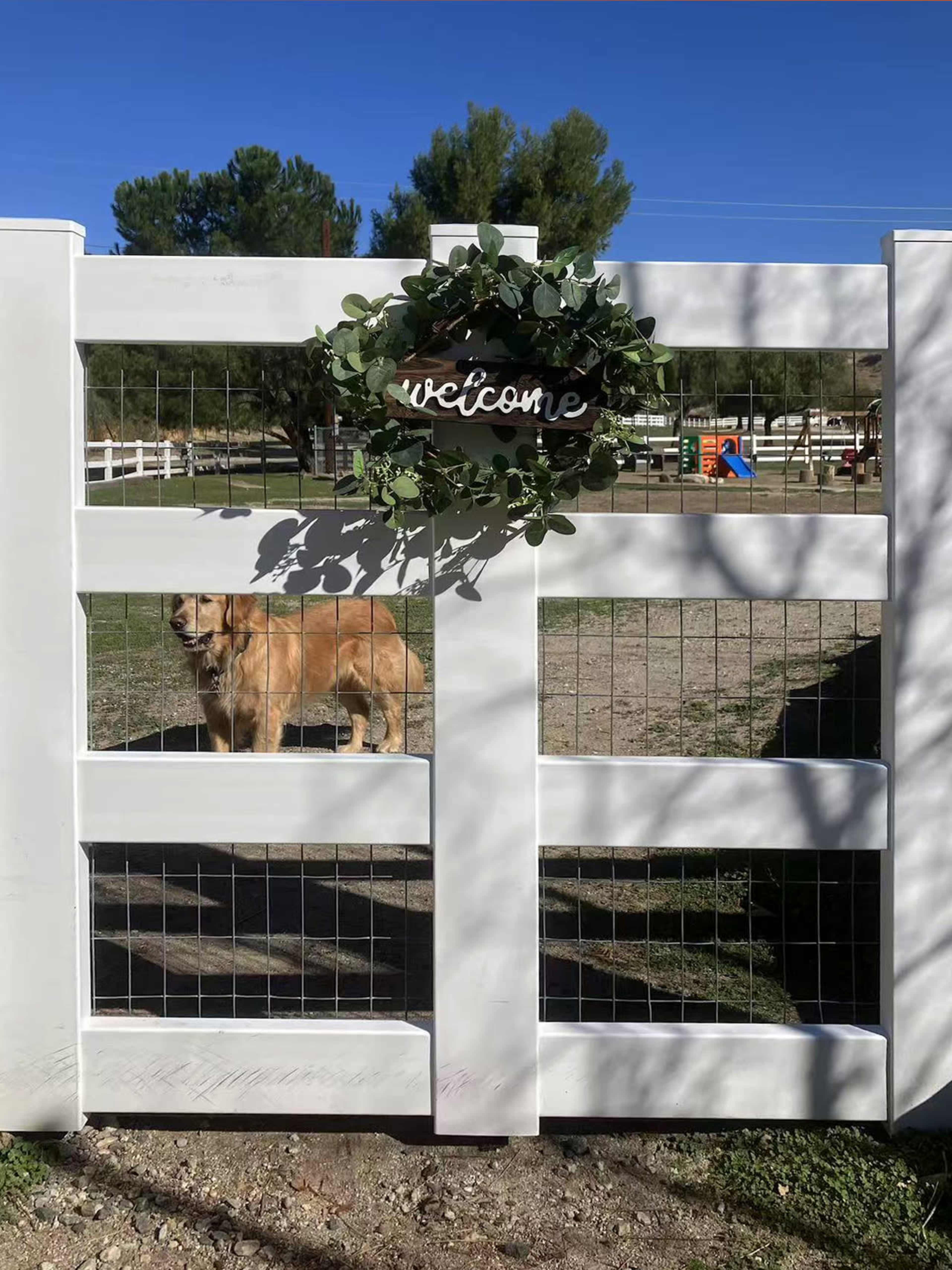 A golden retriever stands beside a white gate adorned with a wreath that says "welcome."