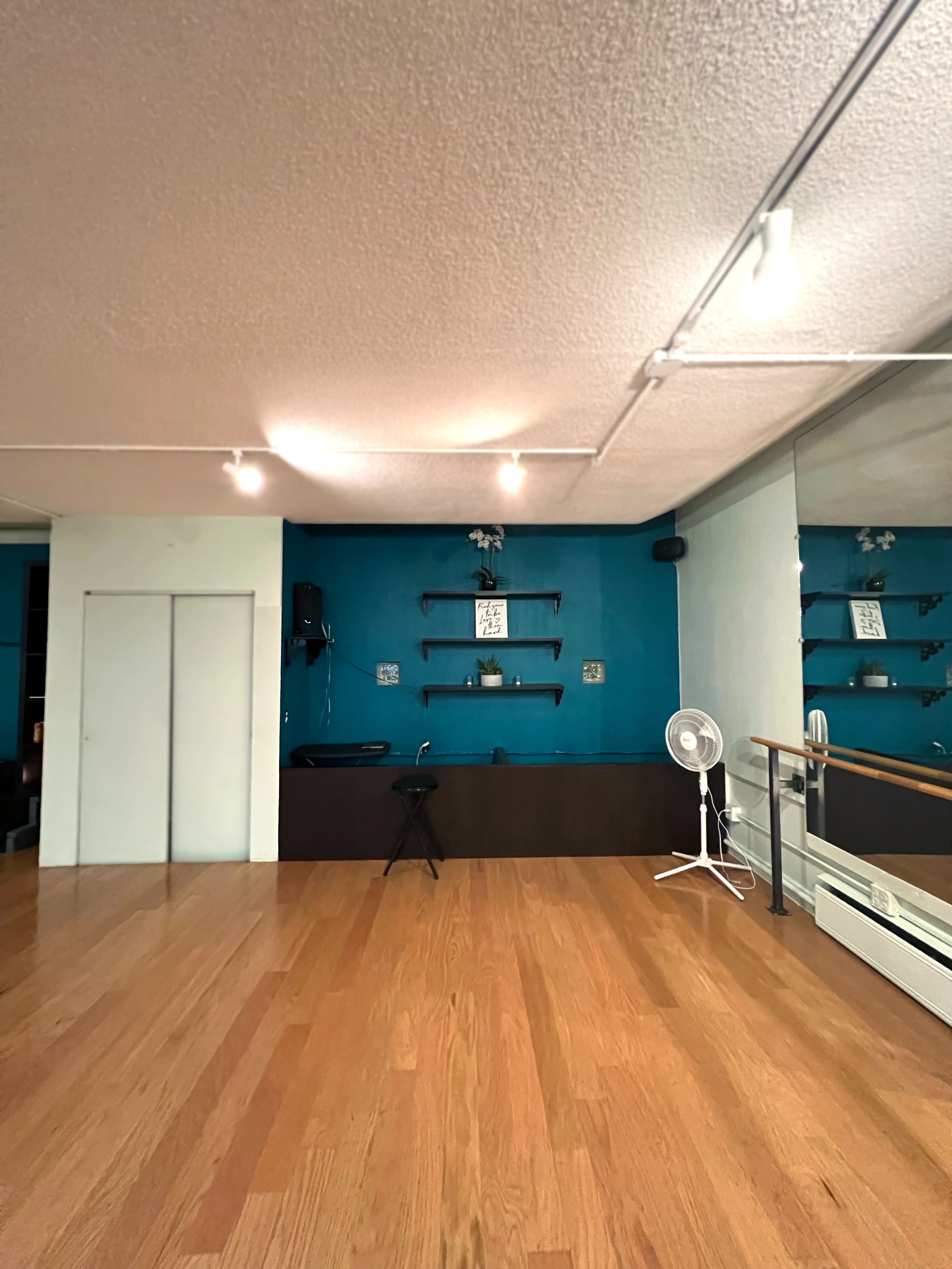 A spacious, well-lit room with hardwood floors, a teal and white color scheme, and wall-mounted shelves, creating an open area with a standing fan and a mirror.
