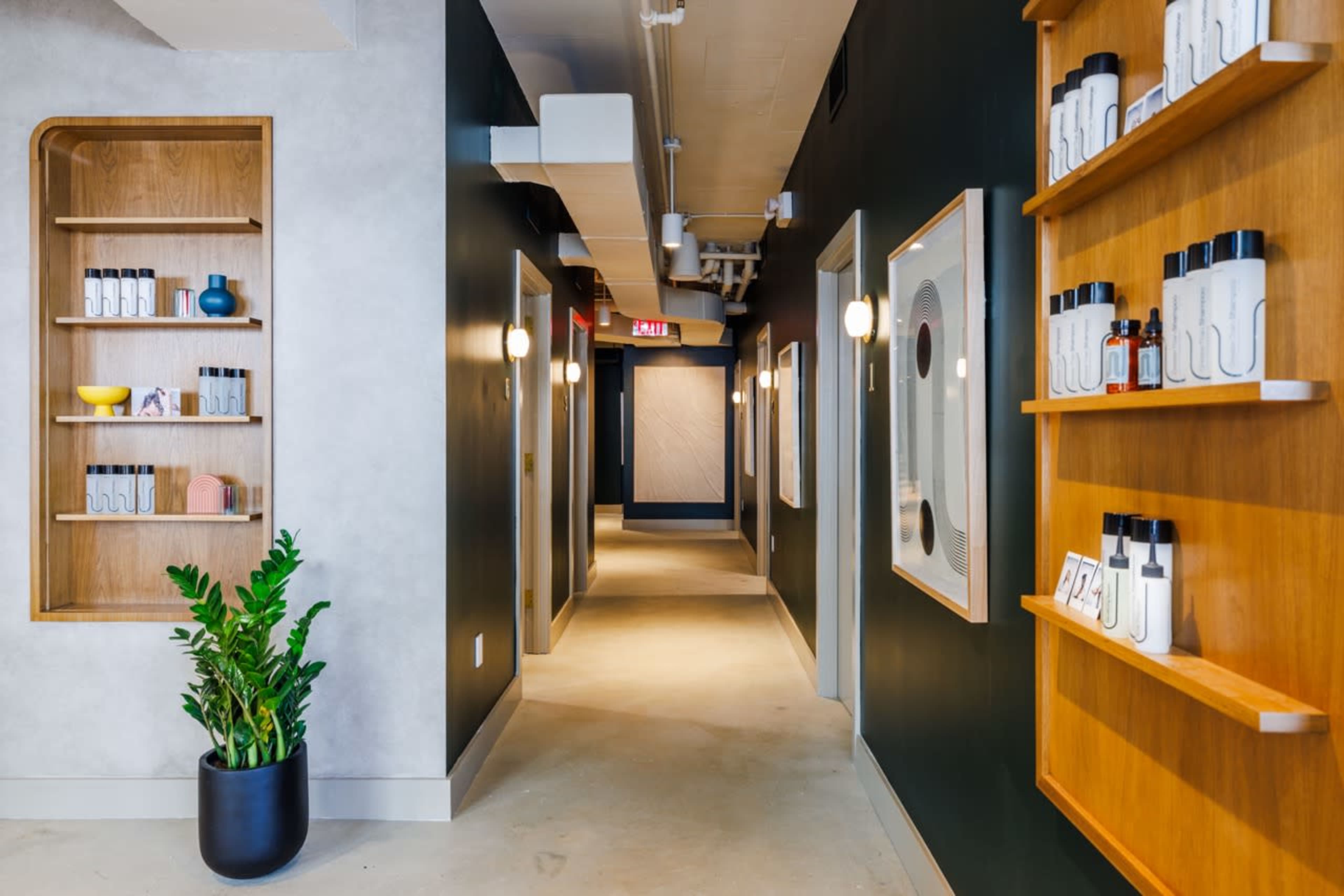 A modern hallway with shelves displaying bottles on both sides and a potted plant at the end.