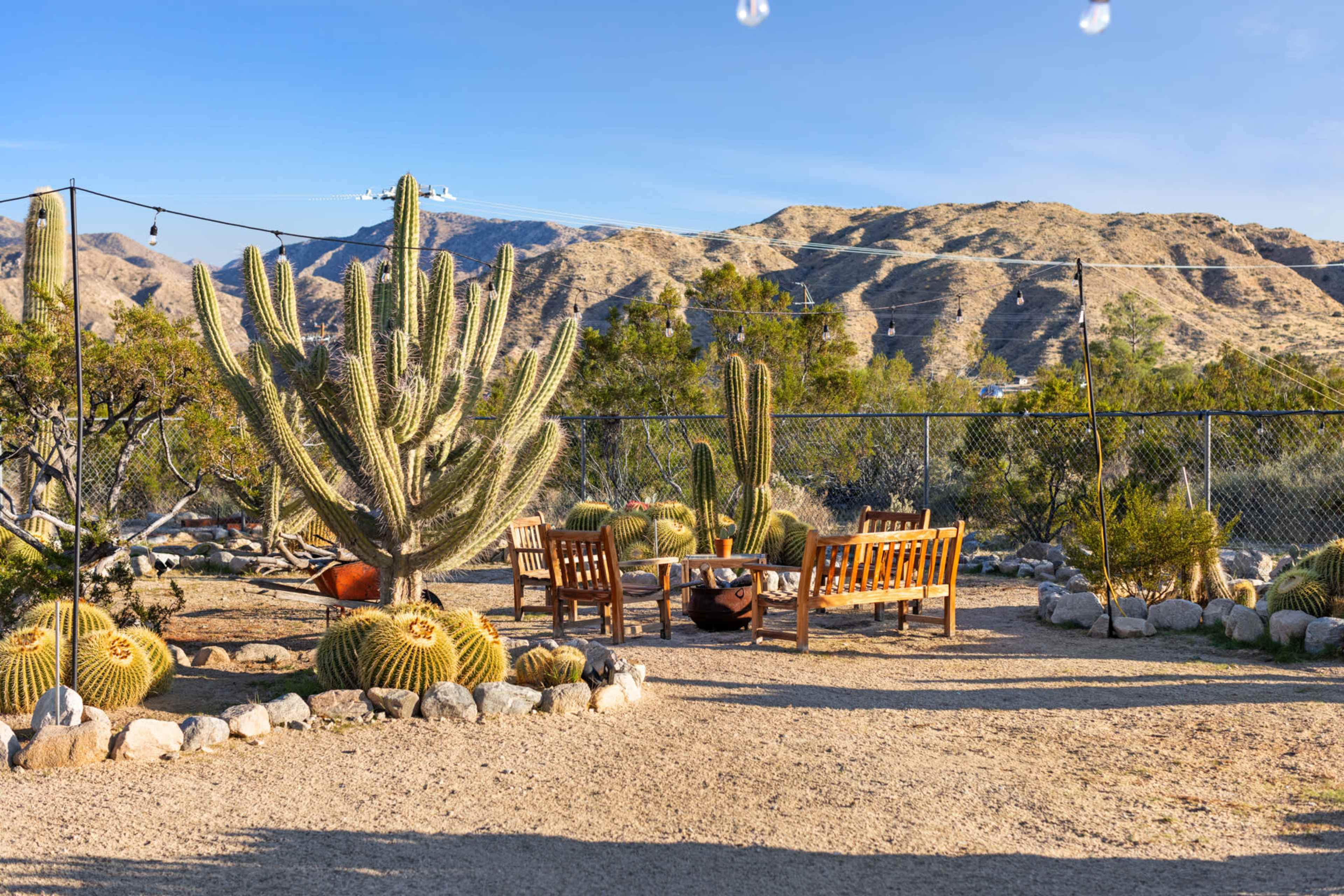A desert home sitting in a cactus-filled botanical garden Image in , MORONGO VALLEY, CA