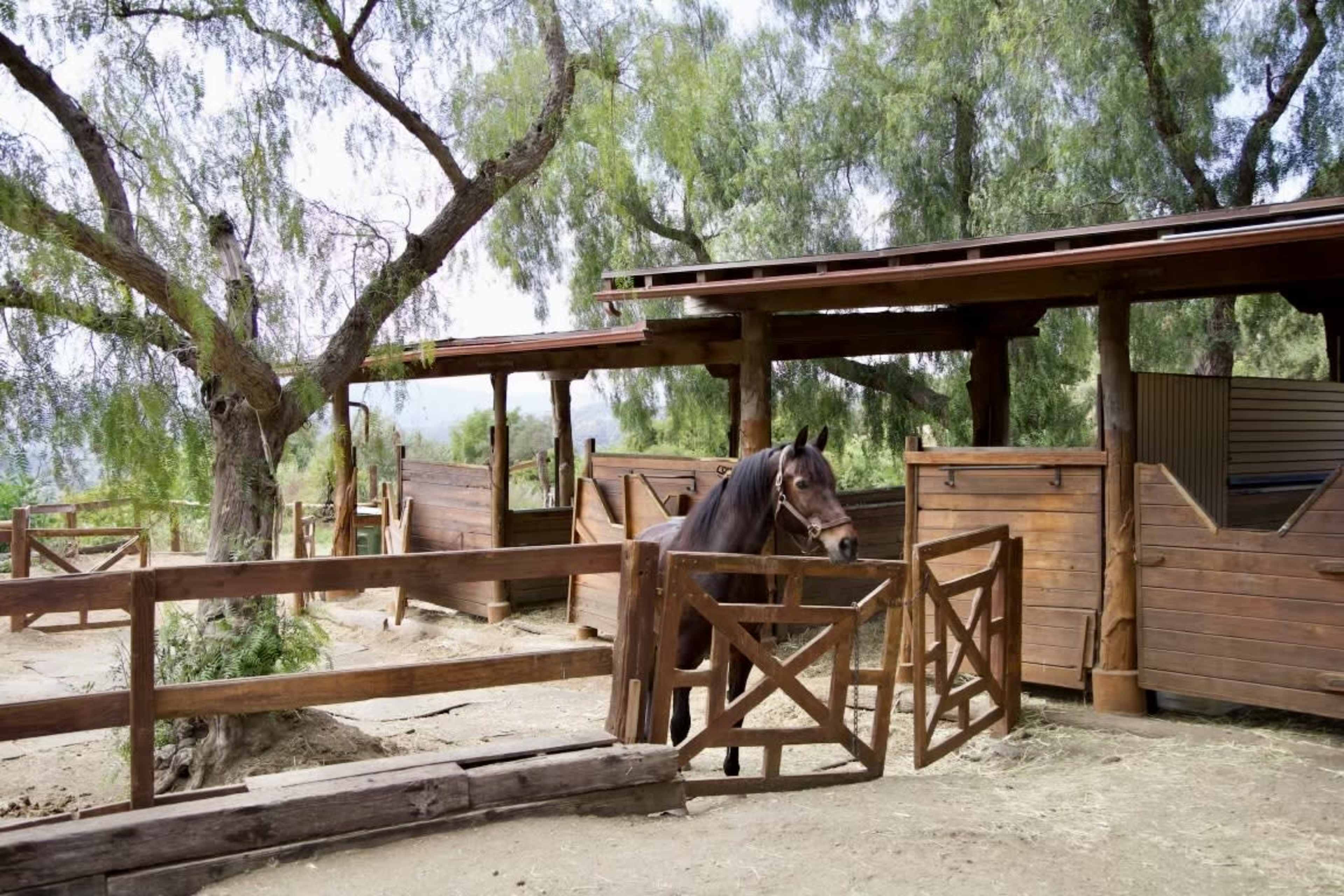 30-Acre Private Ranch in Malibu. Versatile natural location with walk-in custom ROCK POOL + access to large PRODUCTION HOUSE w/ MAKE-UP room, bathroom, kitchenette + lounge. Daylight Studio w/ Cyc Wall/Downstairs Interior of Main Ranch House ADDITIONAL Image in , Malibu, CA