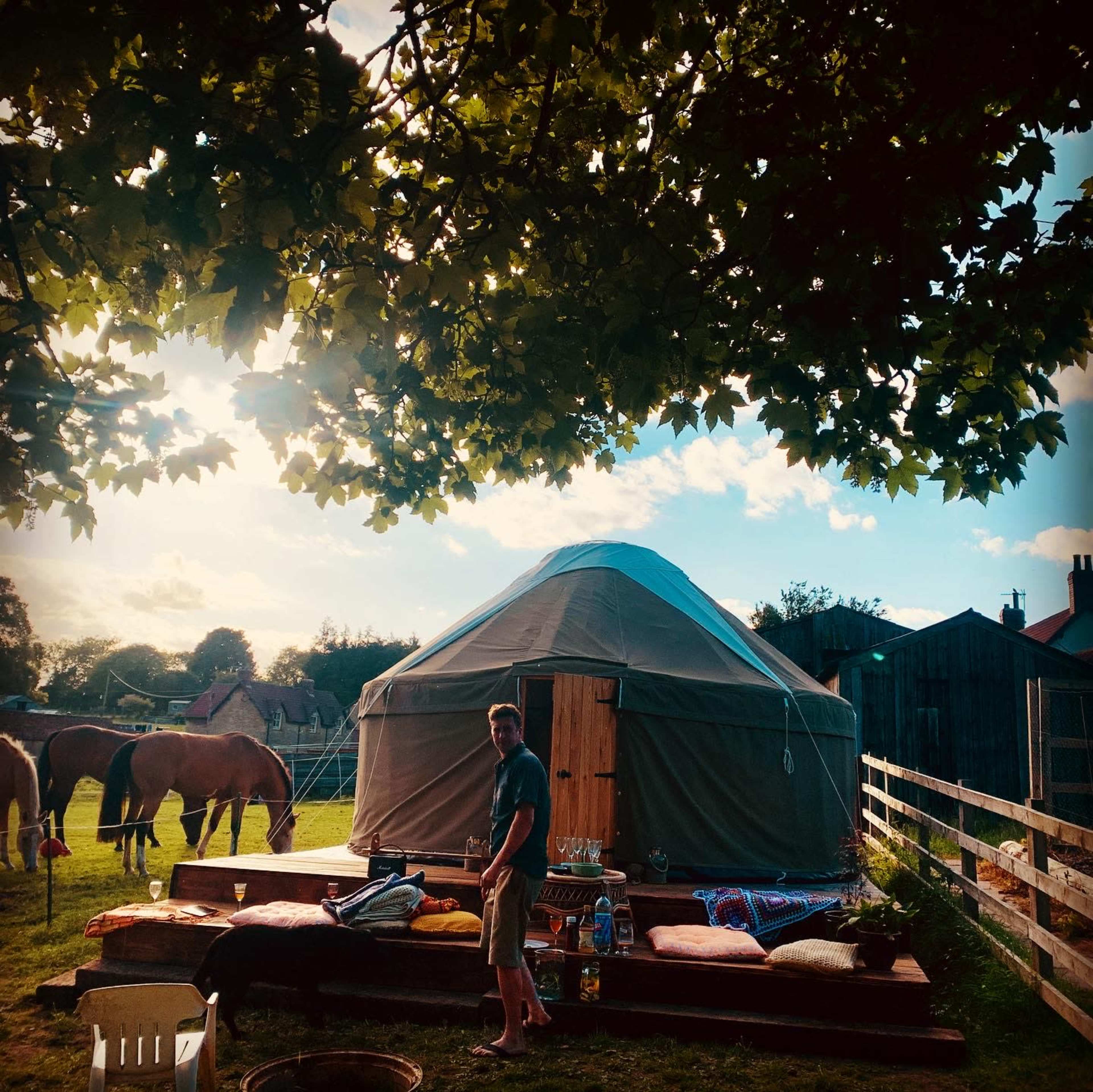 A man stands near a yurt surrounded by horses and a wooden deck, under a canopy of trees.