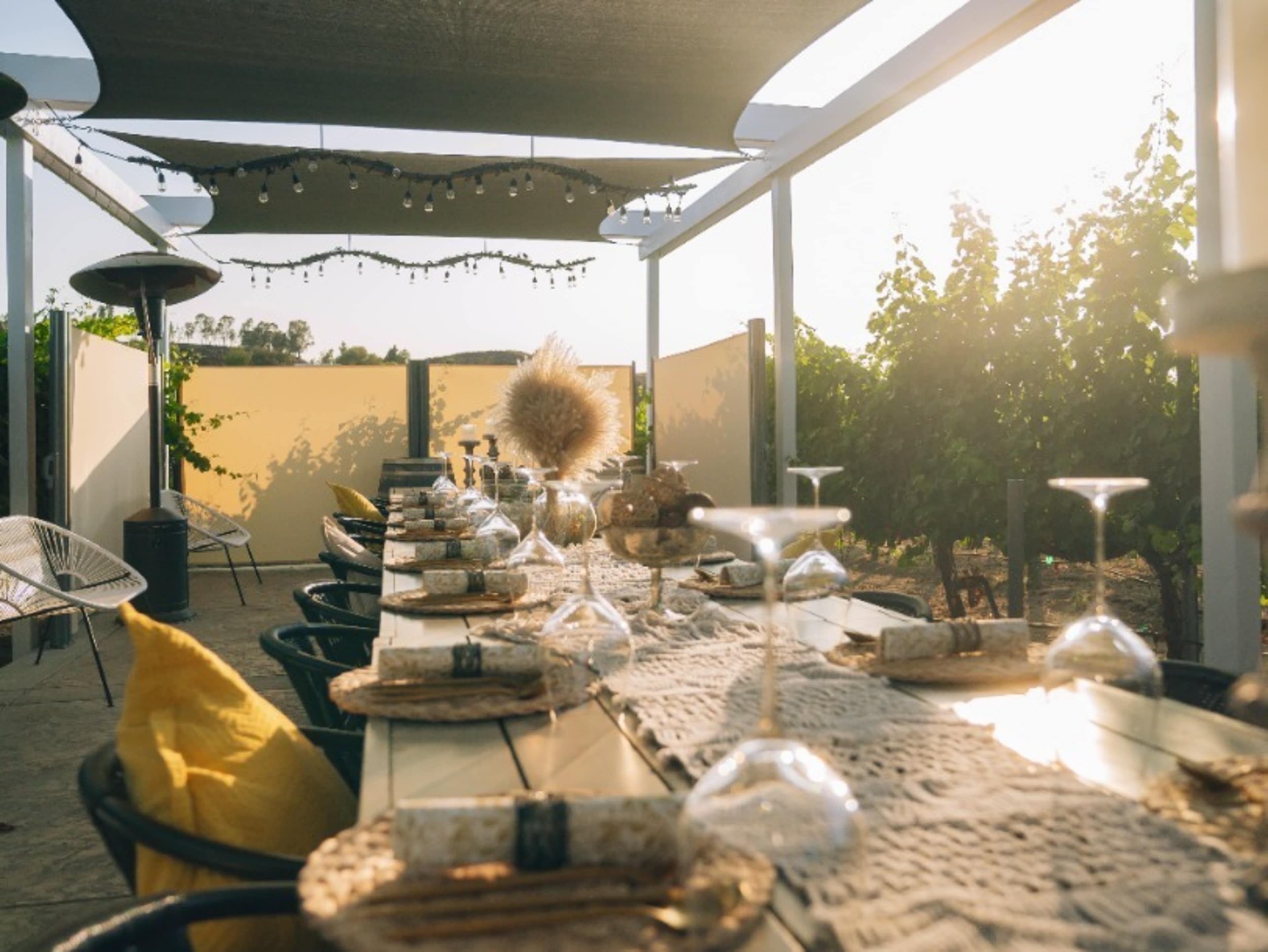 Private Vineyard Patio (Events)