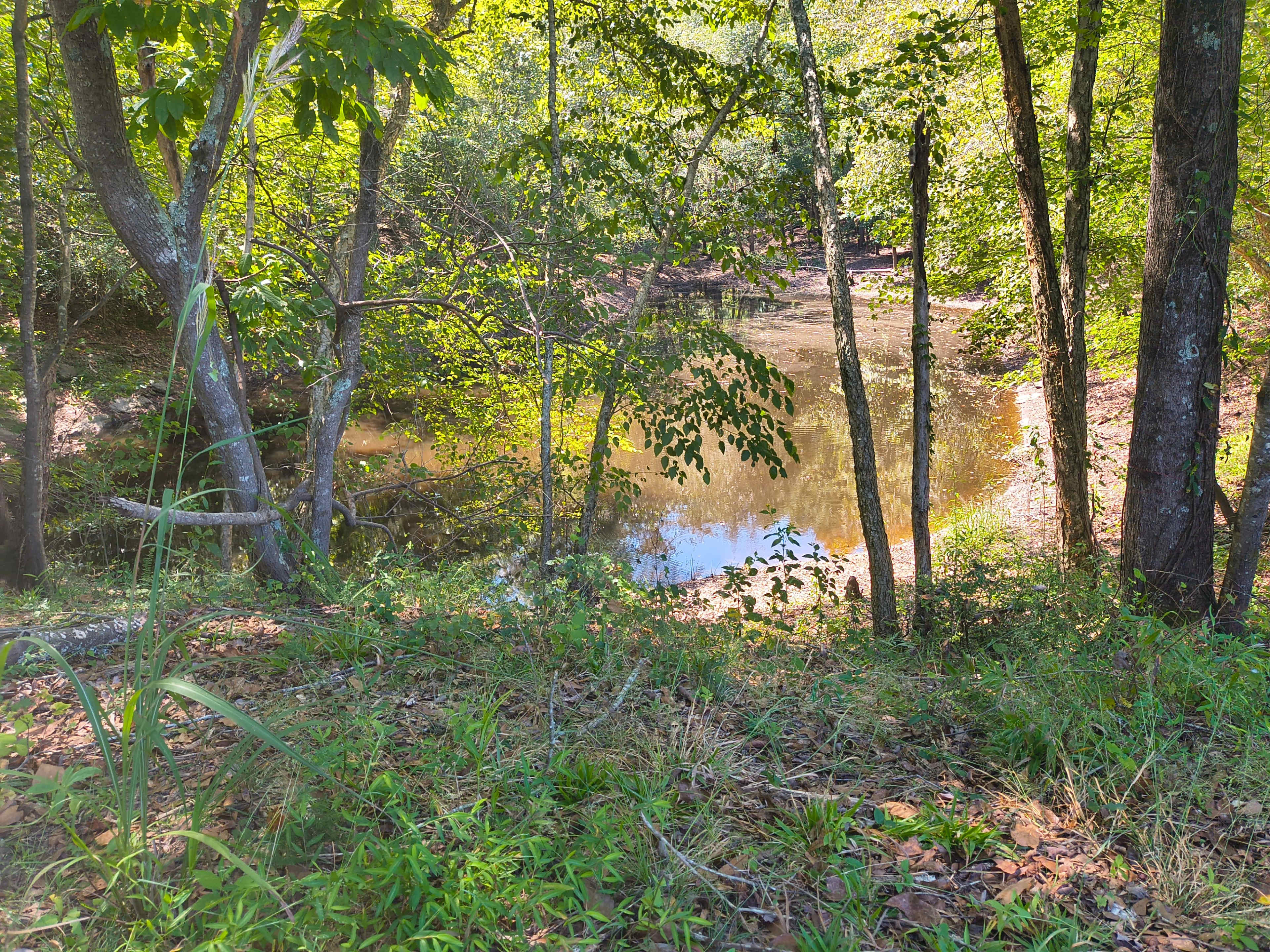 Broad River Property Image in , Comer, GA