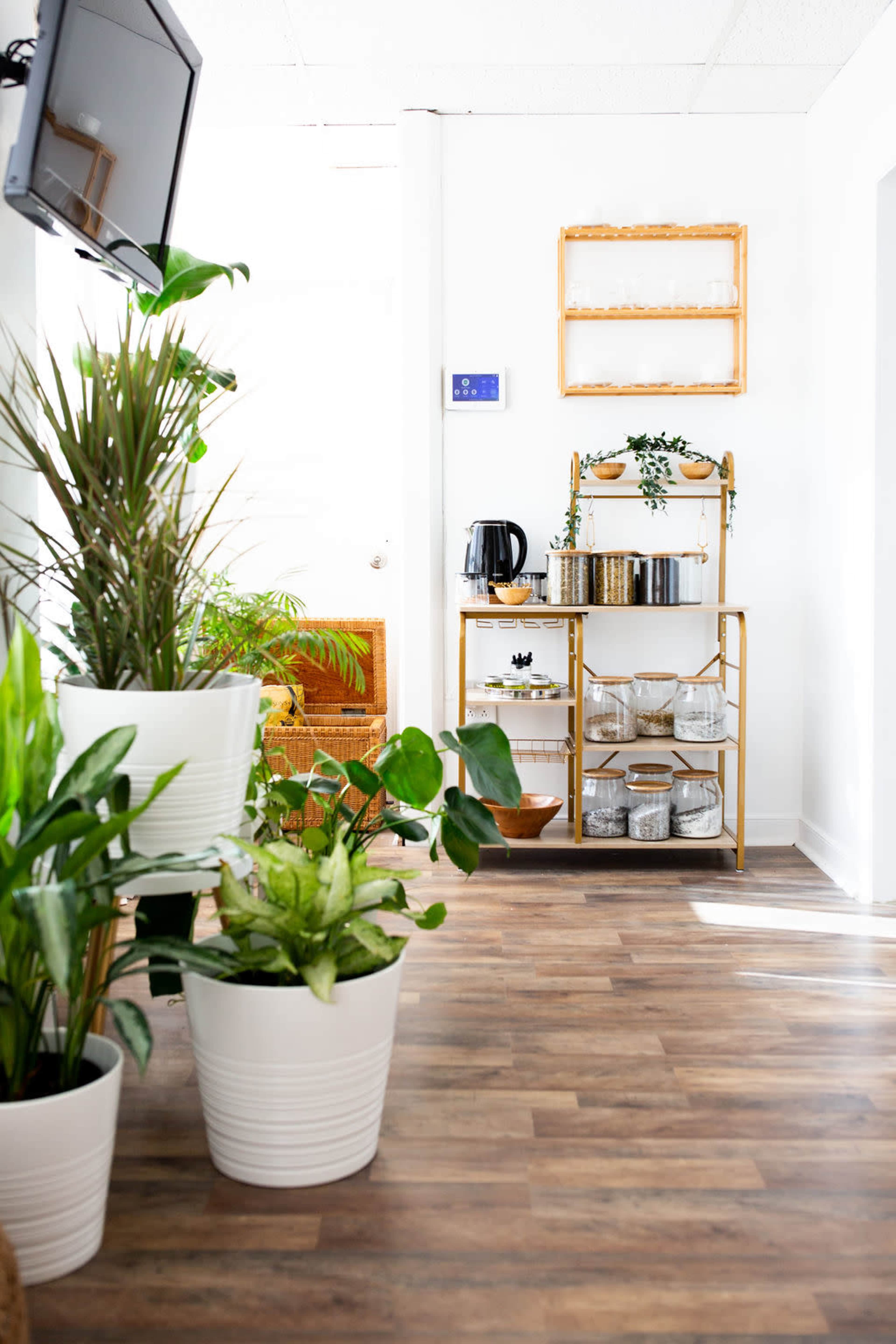 A bright and airy room features a shelf with kitchen items and several potted plants along a wooden floor.