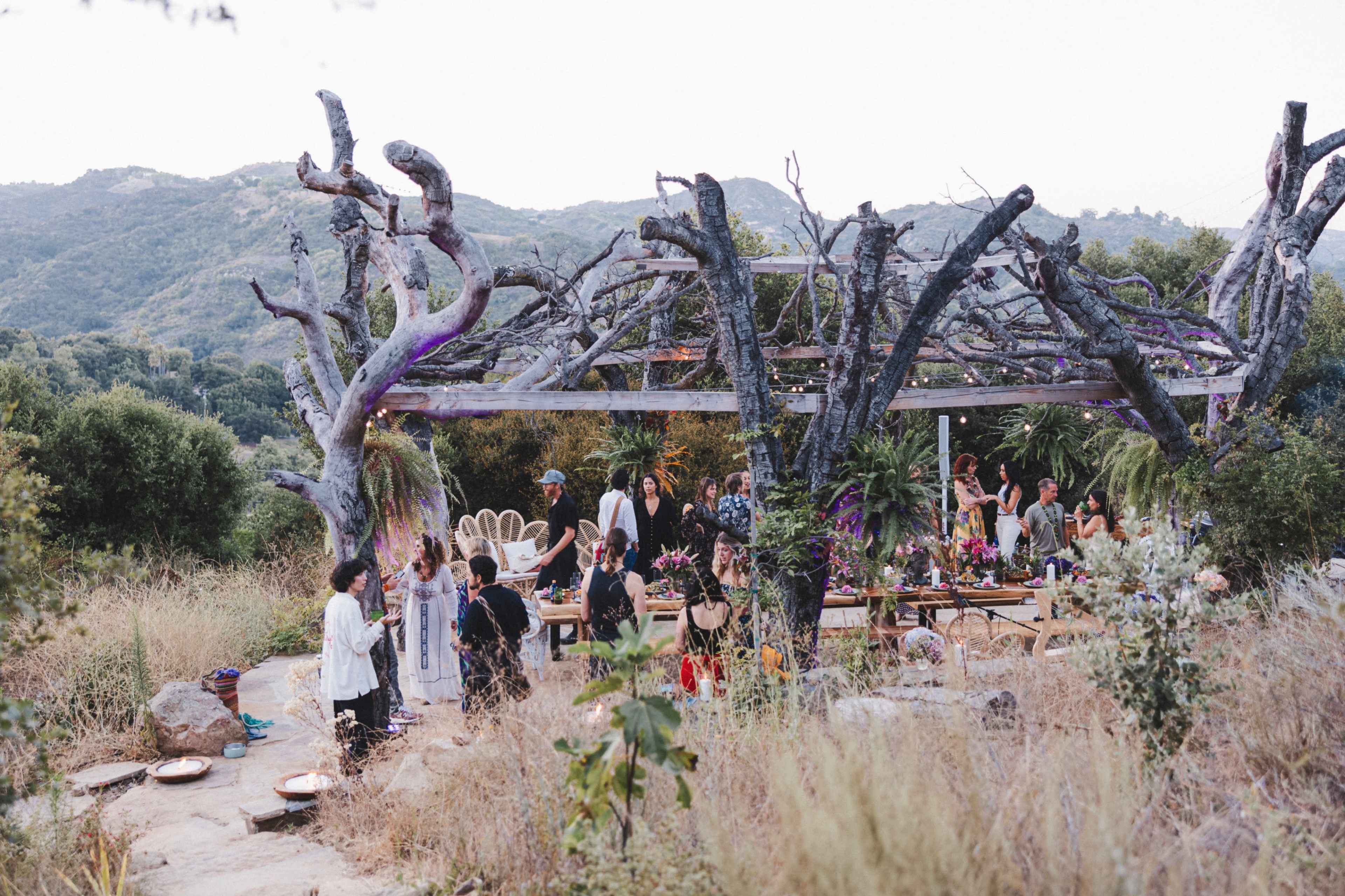 A gathering of people is taking place under a canopy of twisted branches in a natural outdoor setting with mountains in the background.