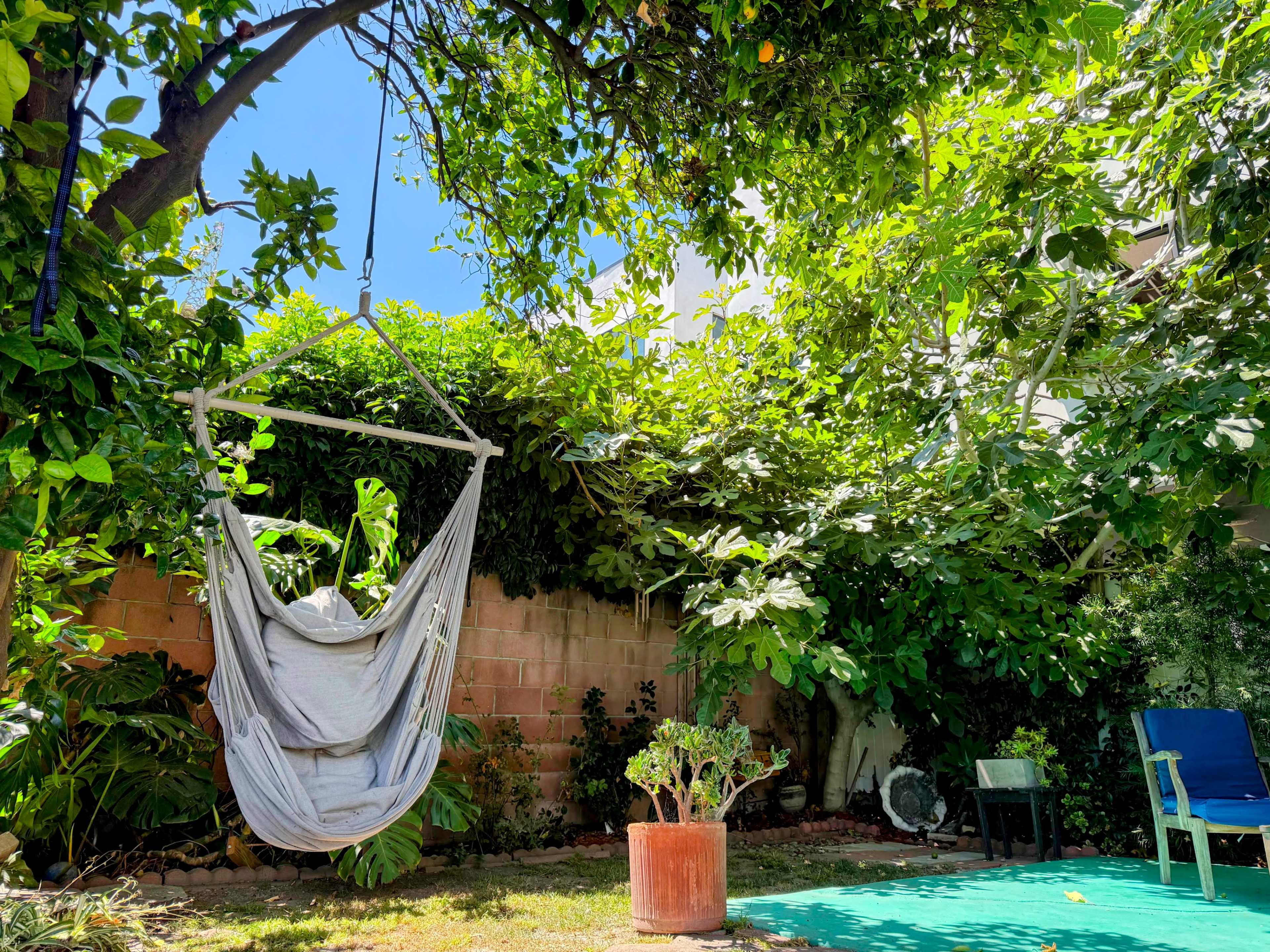 Zen Backyard filled with plants and fruit trees near DTLA Image in Jefferson Park, Los Angeles, CA