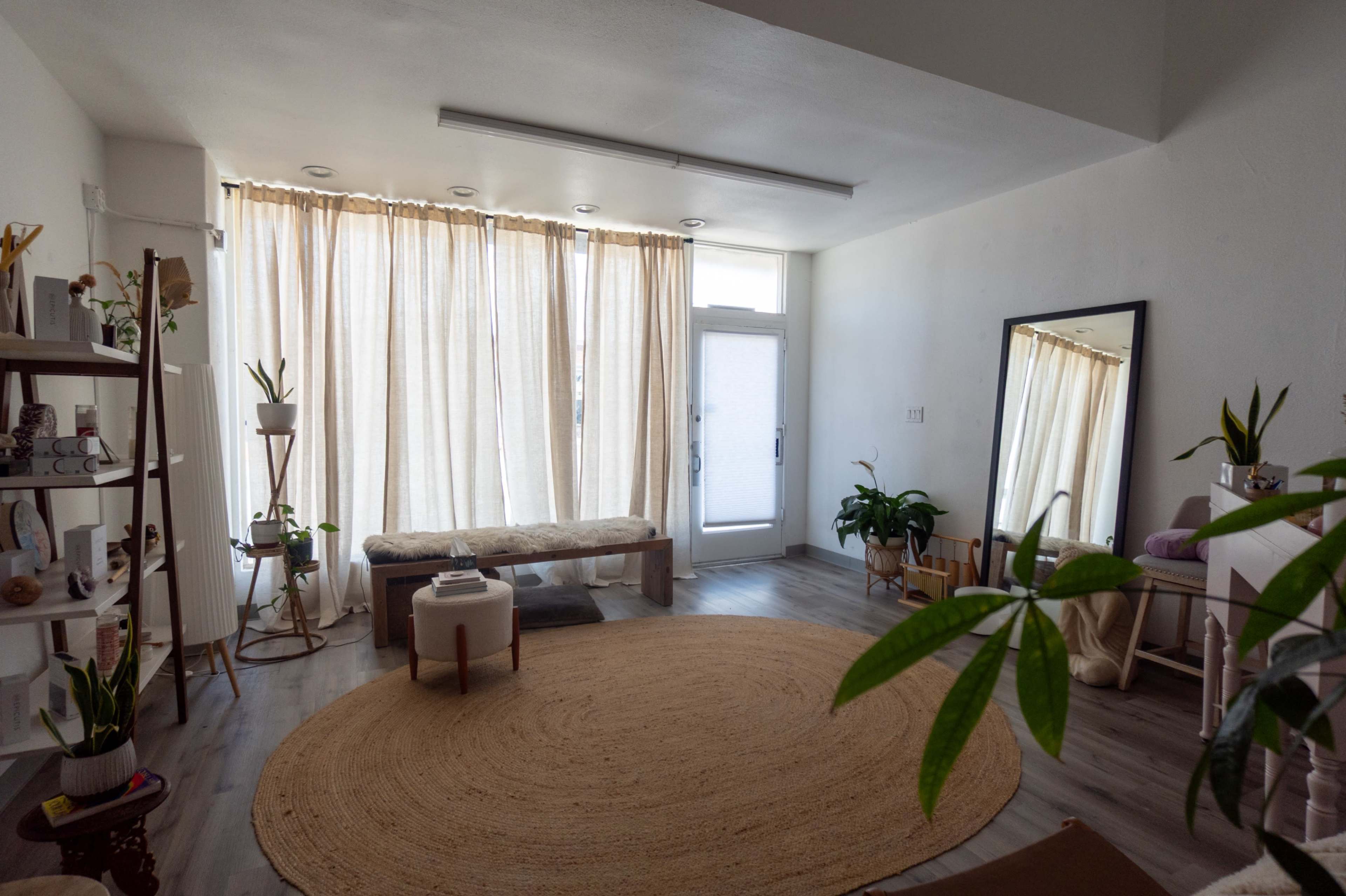 The image shows a bright, minimalist room with large windows covered by sheer curtains, a round rug on the floor, a bench against the wall, and several plants arranged throughout the space.