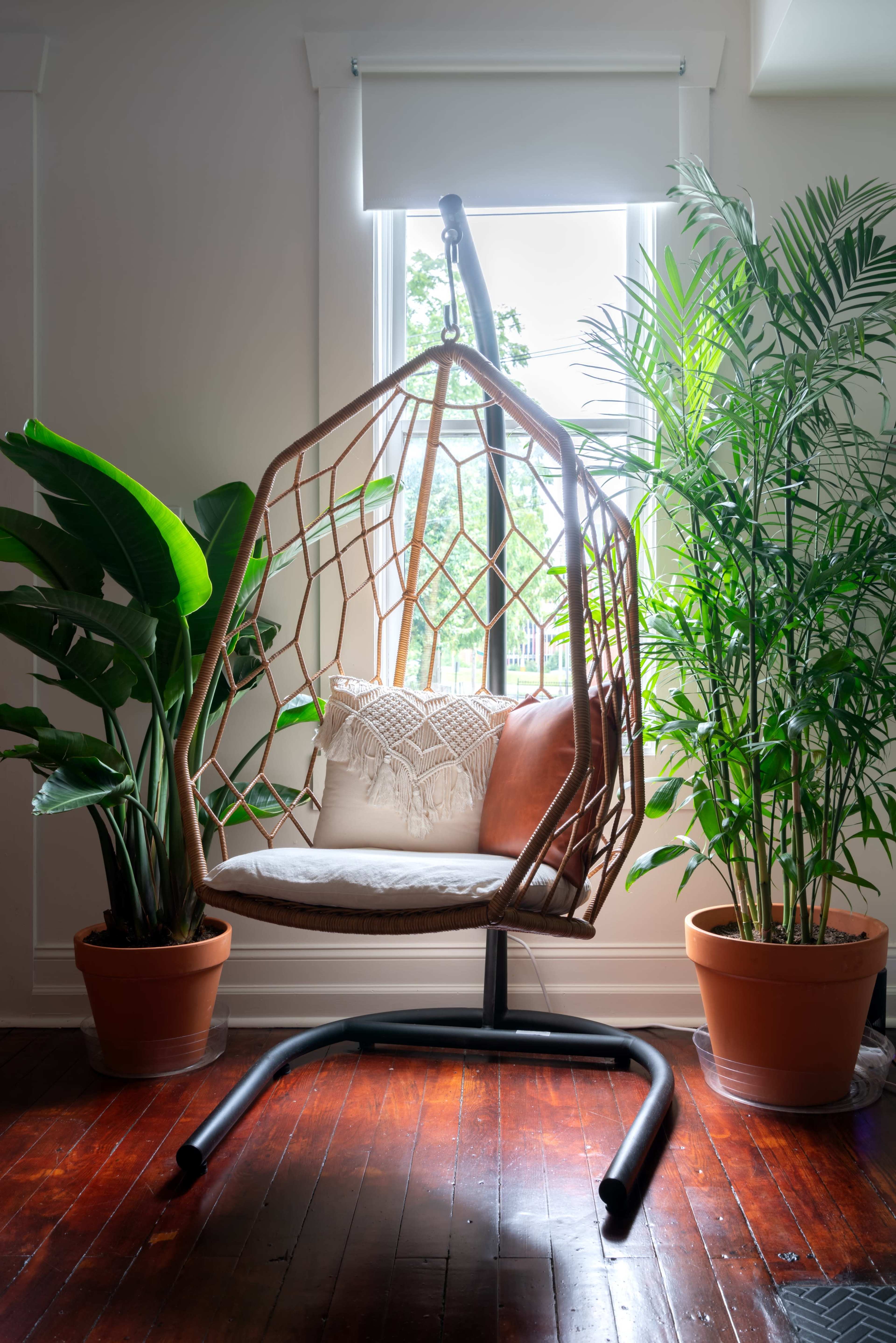 A hanging wicker chair is positioned near a window, surrounded by potted plants on polished wooden flooring.