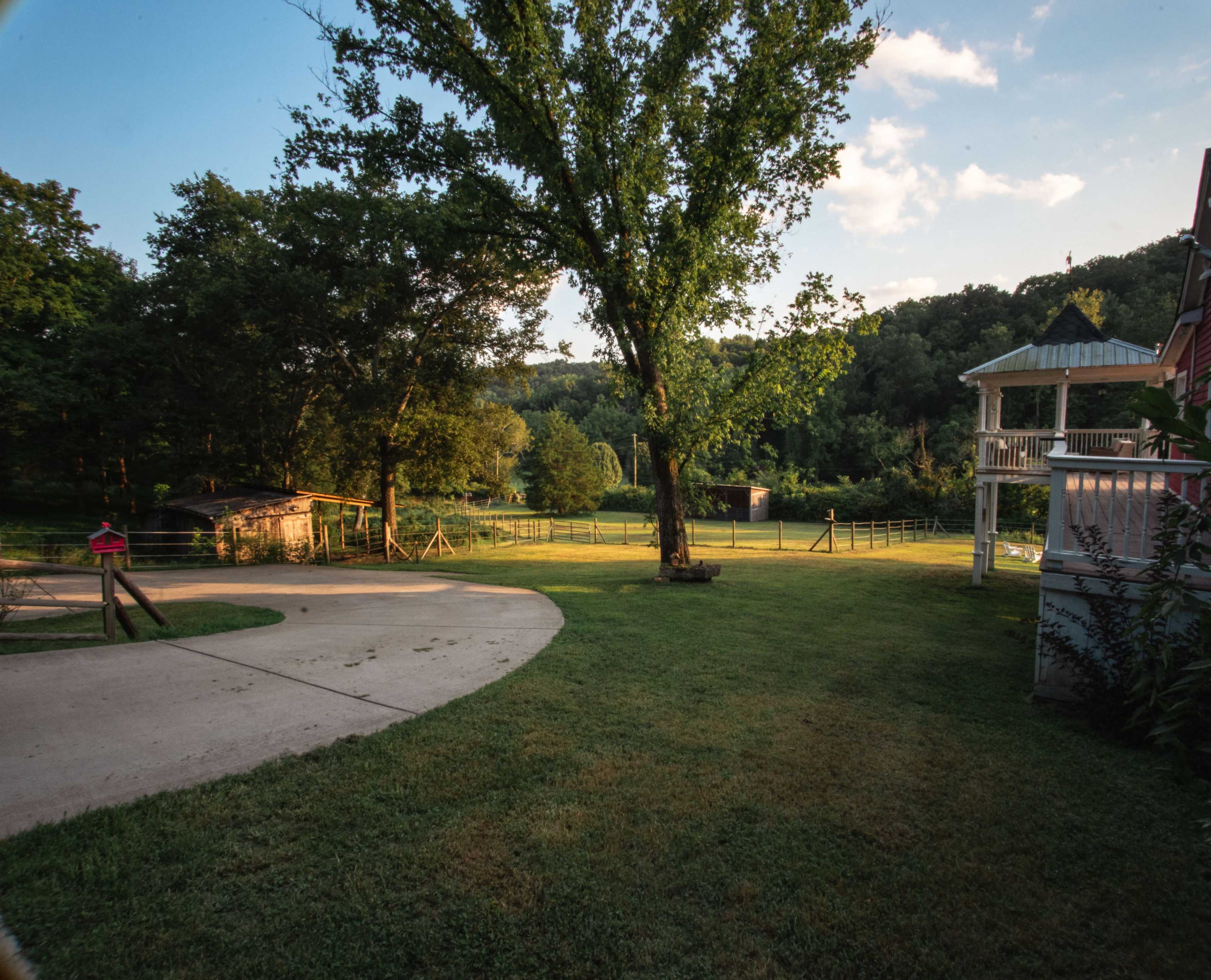 A gravel driveway curves through a grassy area lined with trees, leading to a house with a porch near a river.
