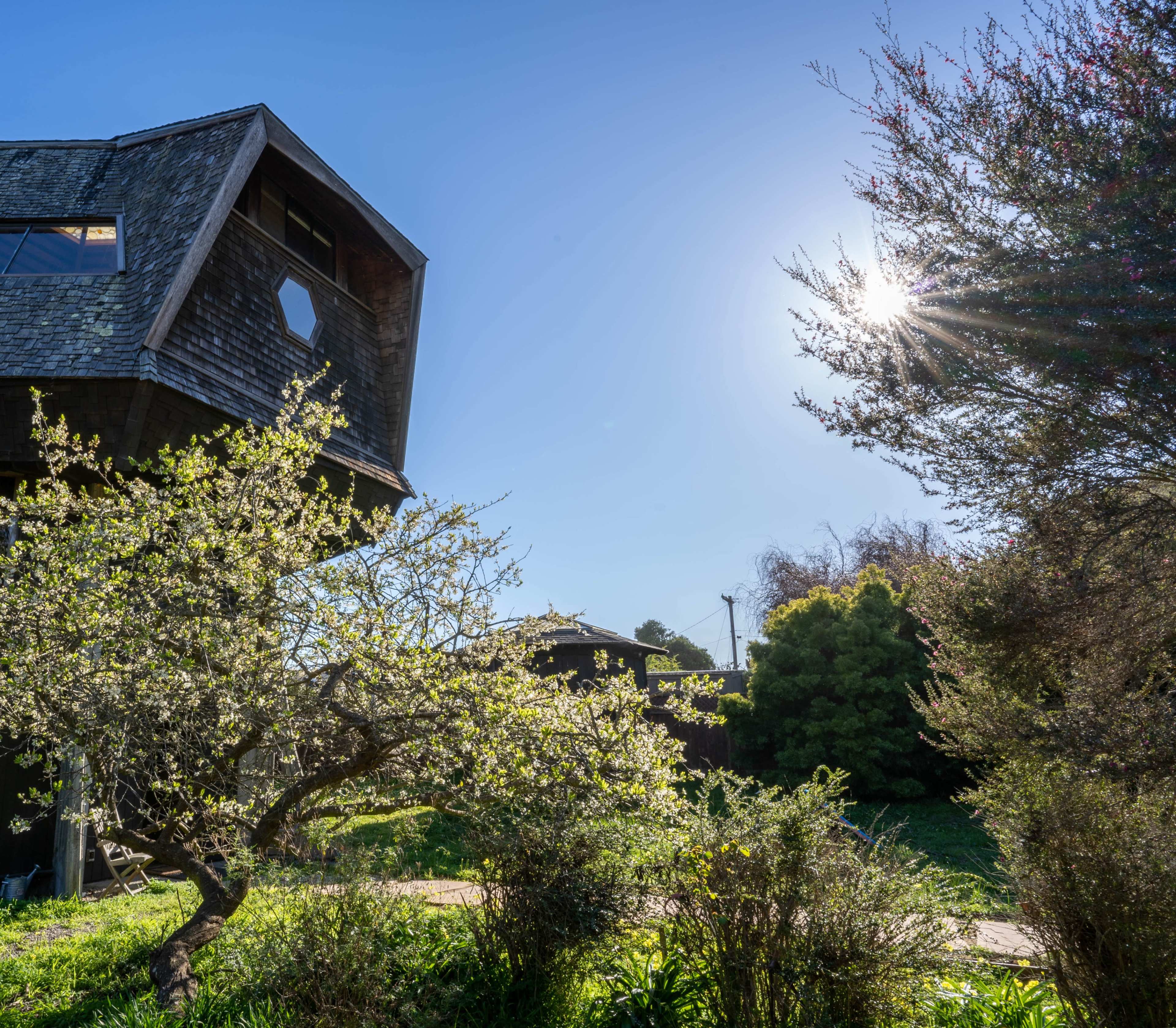 A unique modern building with an octagonal design stands among green vegetation and trees under a clear blue sky.