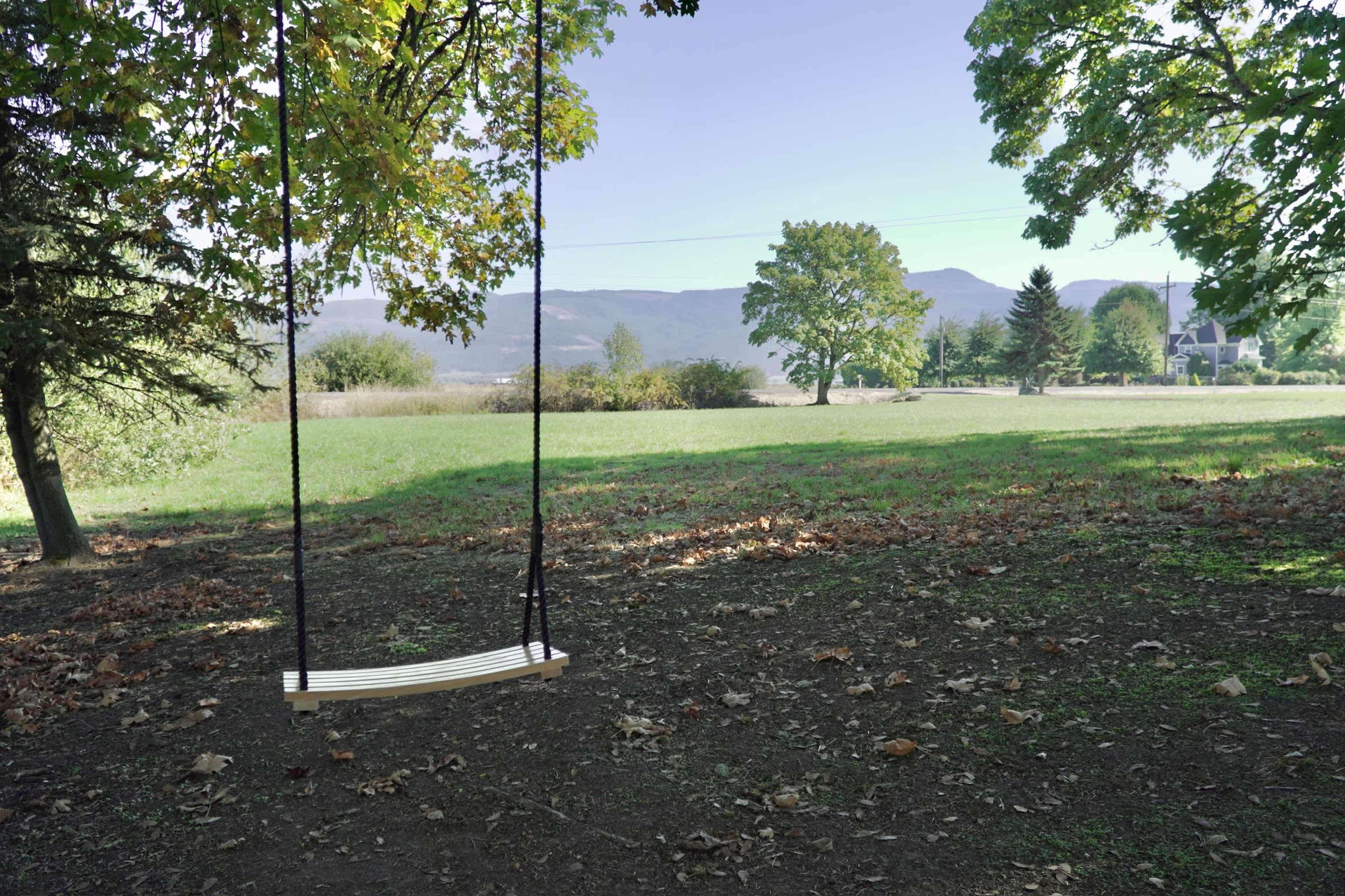 A wooden swing hangs from a tree in an open field surrounded by mountains and scattered trees.