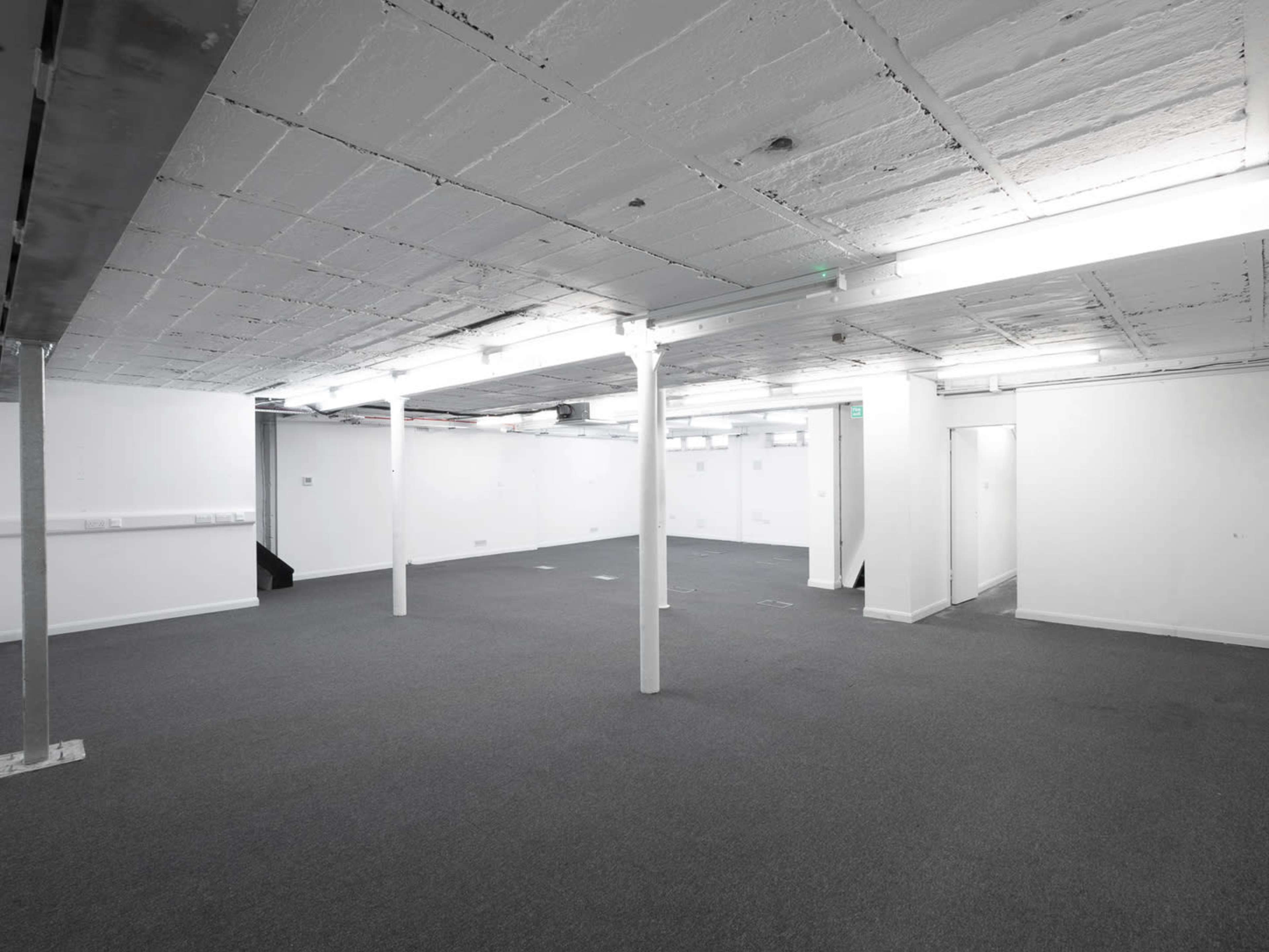 The image depicts a large, empty basement space with white walls, a light-colored ceiling, and gray carpet flooring, illuminated by fluorescent lights.