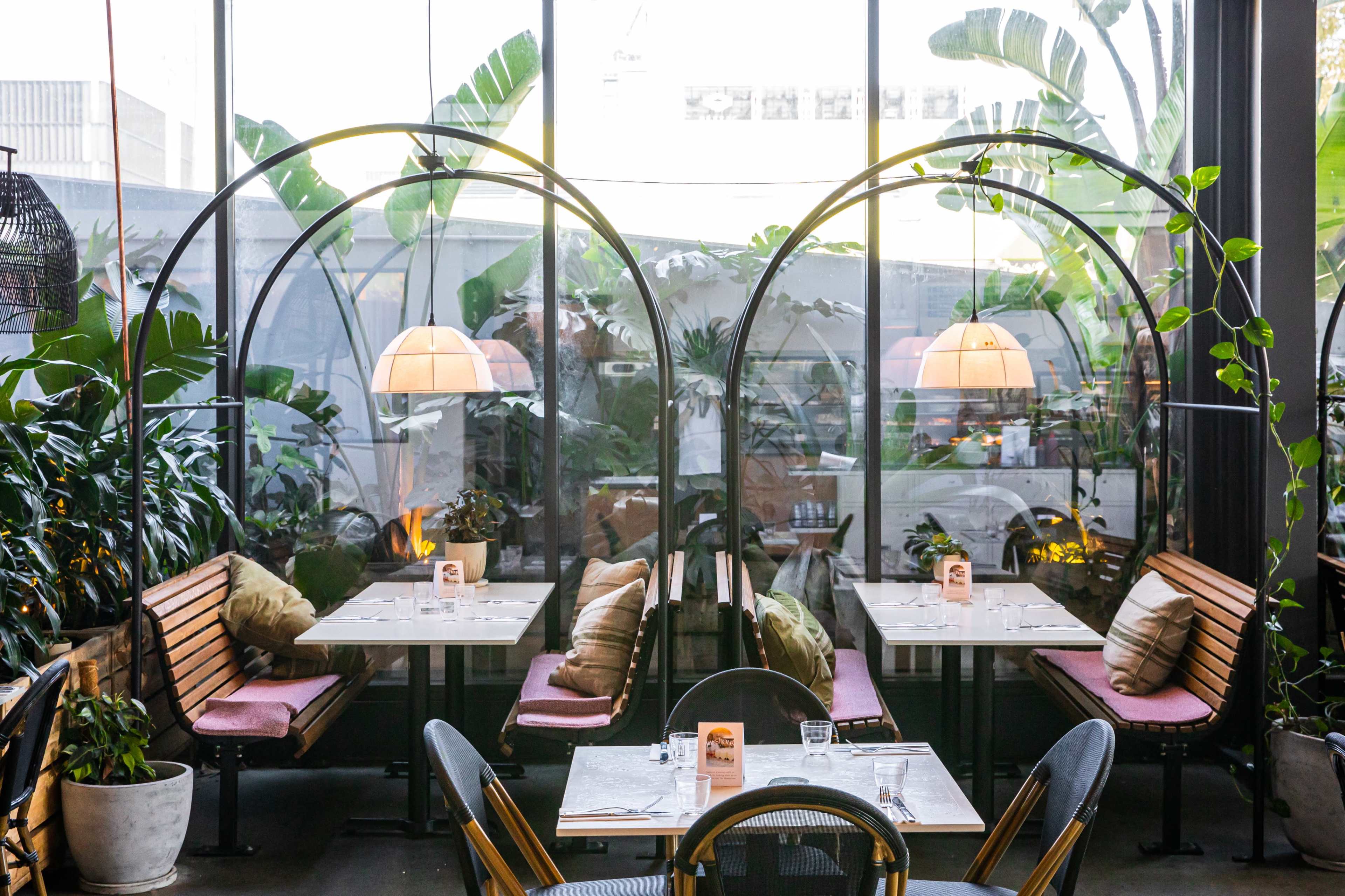A modern restaurant interior with curved seating areas separated by glass and lush green plants visible through large windows.