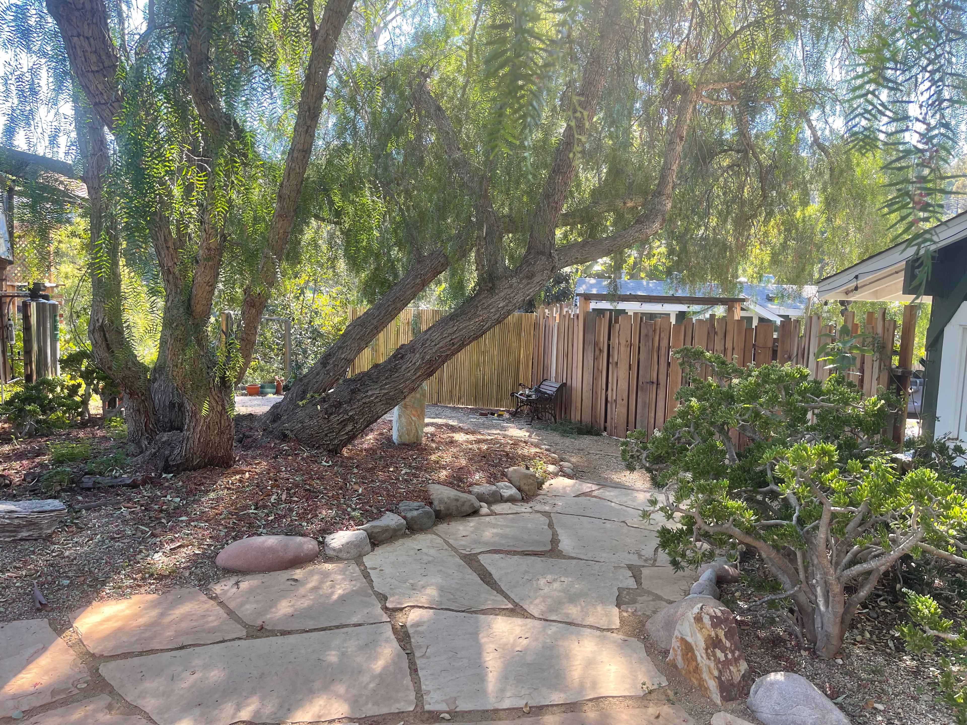 A stone pathway leads through a green garden with trees and a wooden fence in the background.
