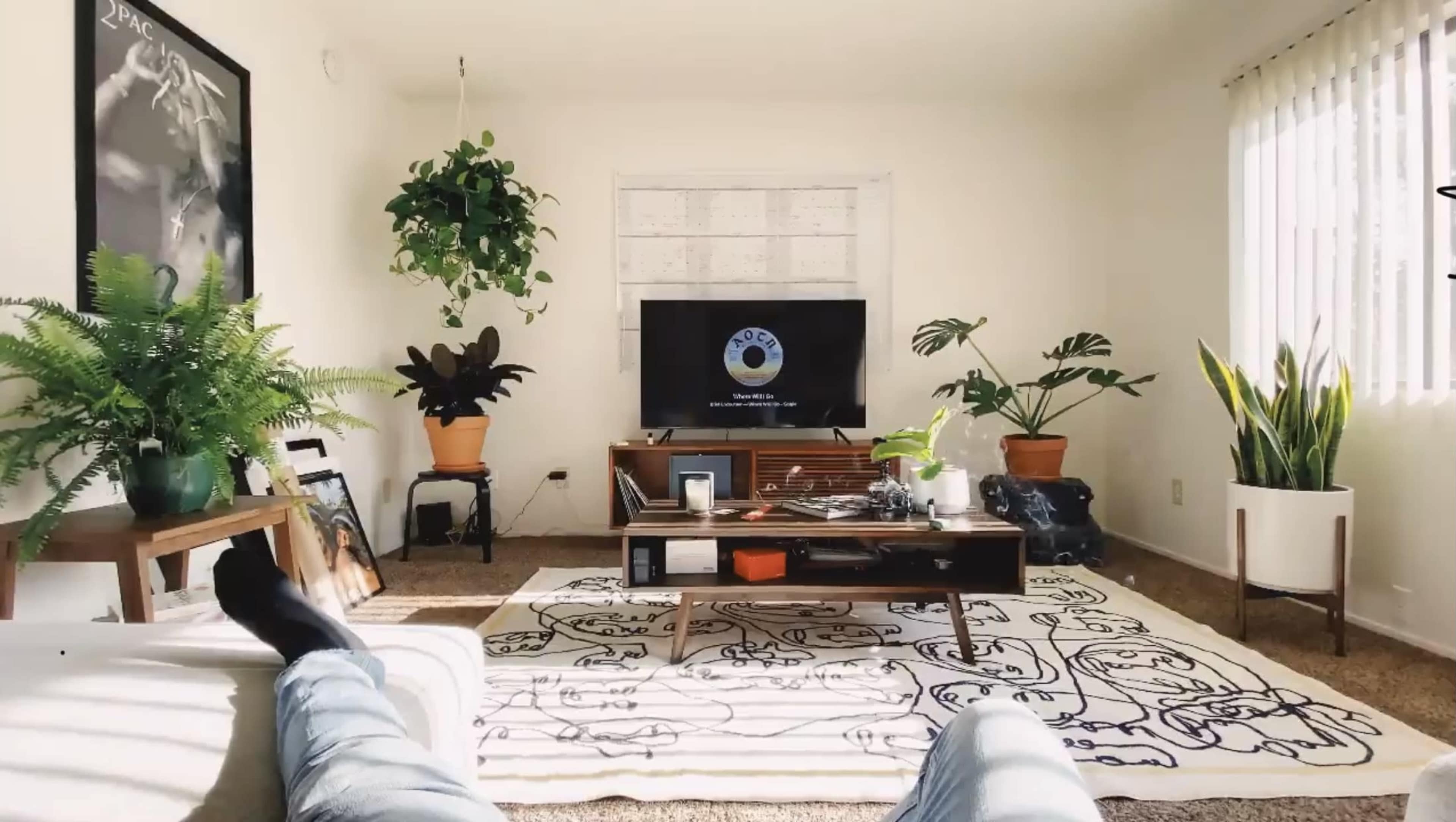 The image shows a bright living room with a coffee table, a television against a wall, and several plants in pots.