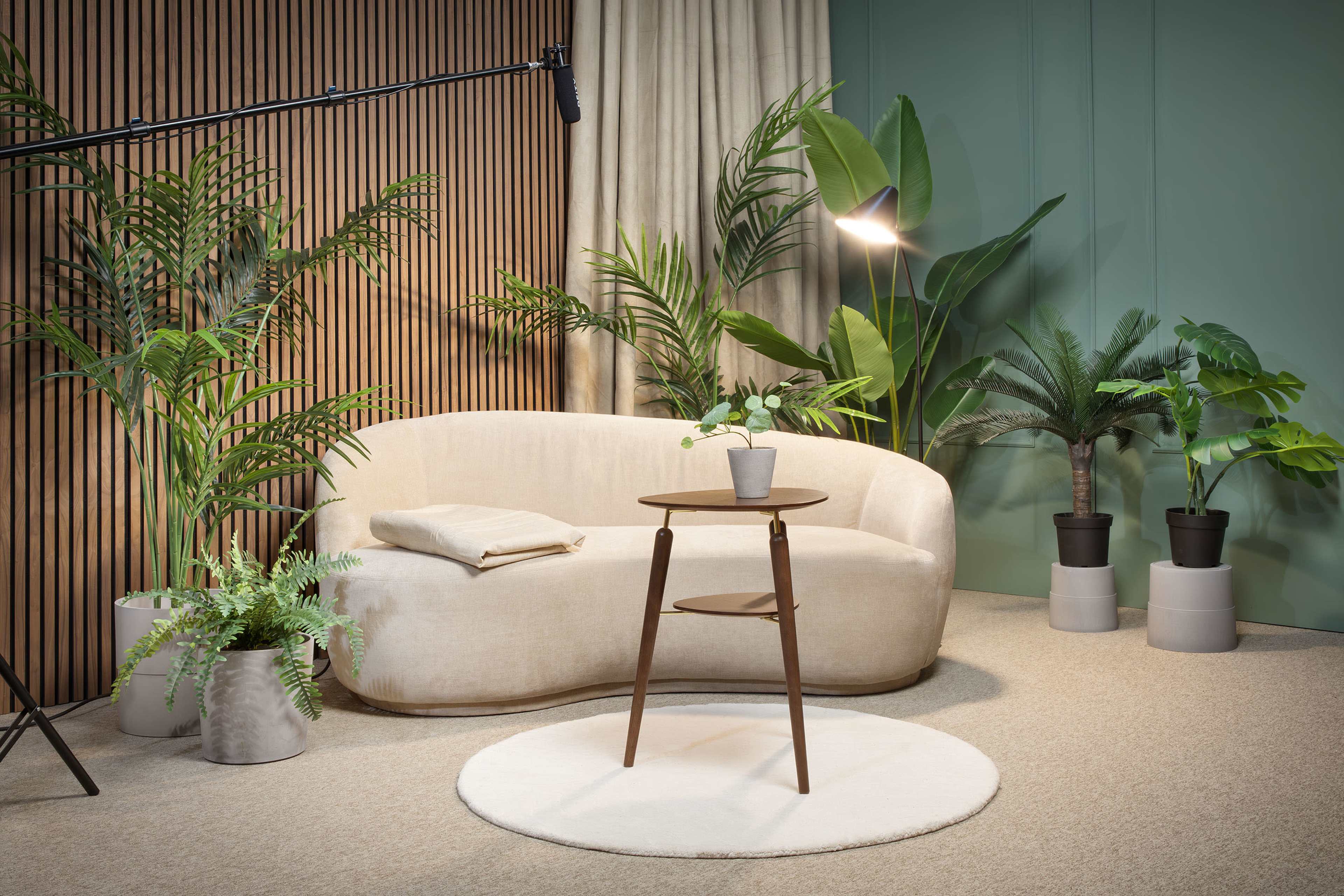 A modern living space features a curved beige sofa, a small wooden side table with a plant on top, and various potted plants against a backdrop of green and wooden walls.
