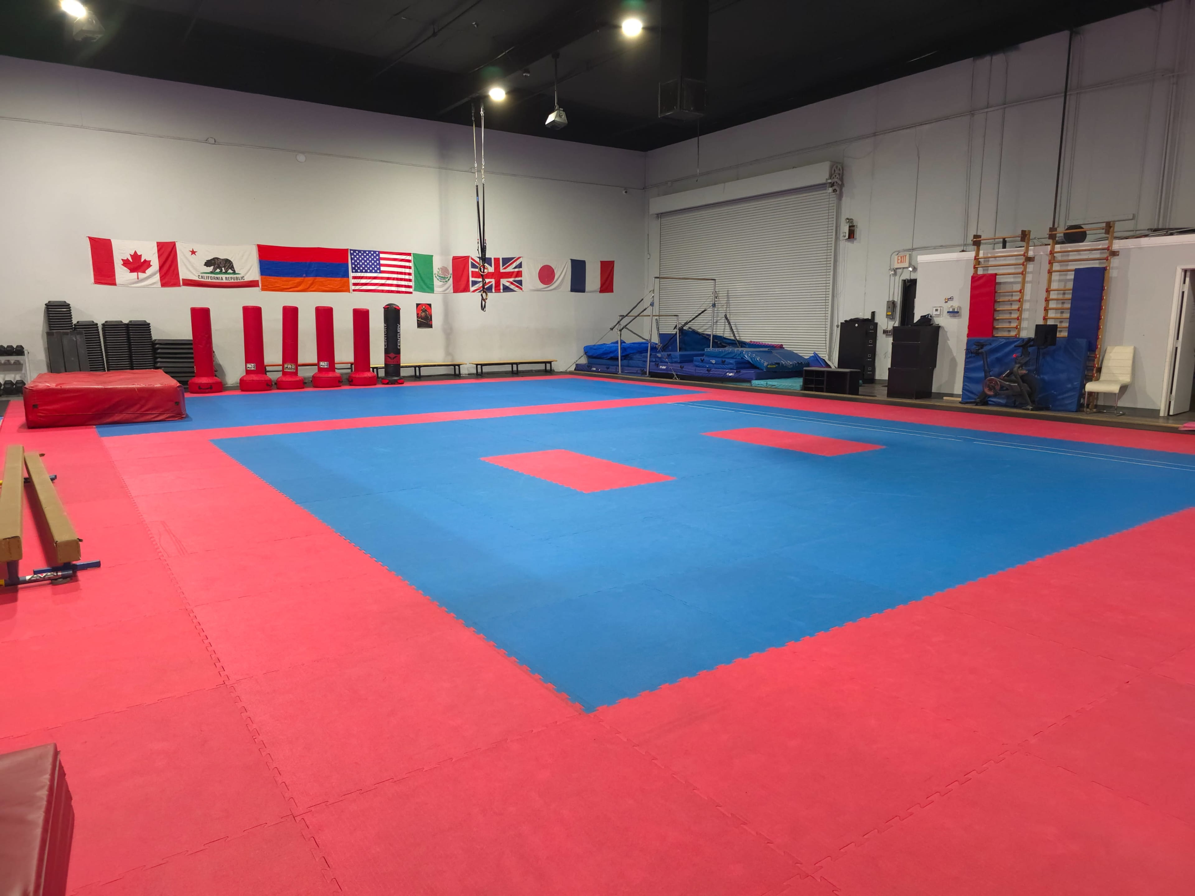 The image shows a martial arts training facility with a blue and red padded floor, wall flags from various countries, and training equipment along the sides.