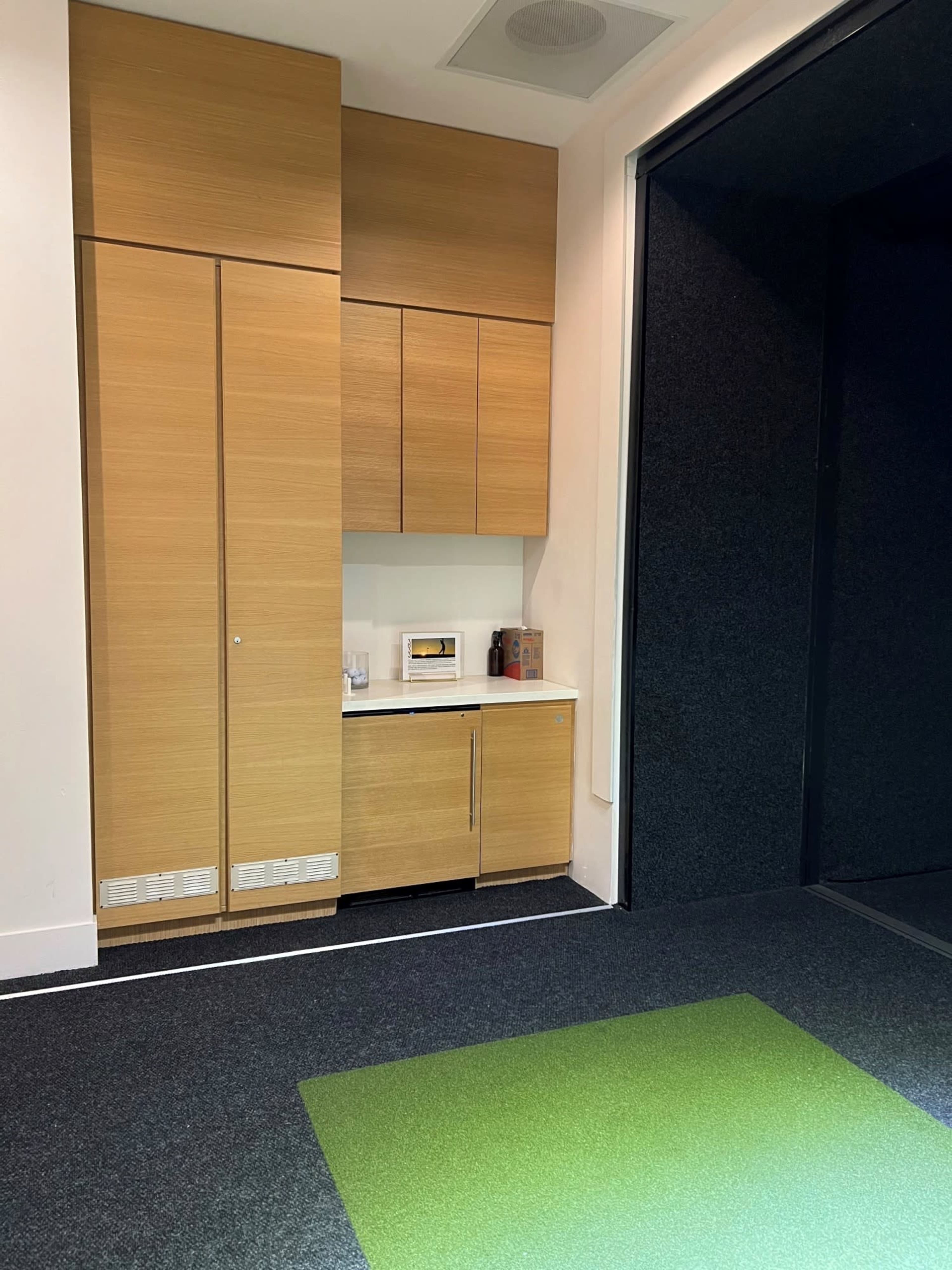 The image shows a small kitchenette area with wooden cabinets, a microwave, and a green rug on the floor.