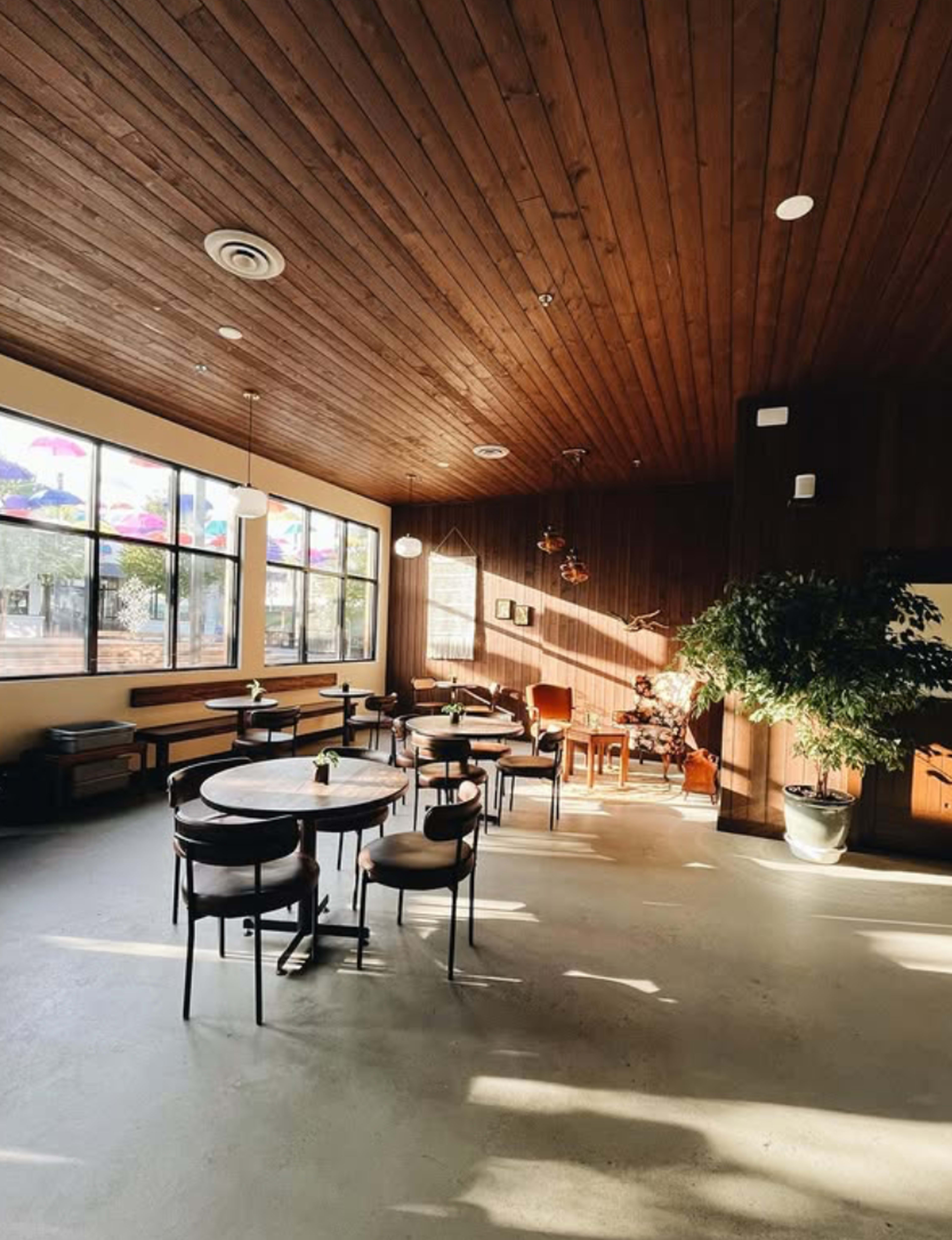 The image shows a spacious café interior with wooden ceiling panels, multiple round tables, and large windows allowing natural light to fill the room.