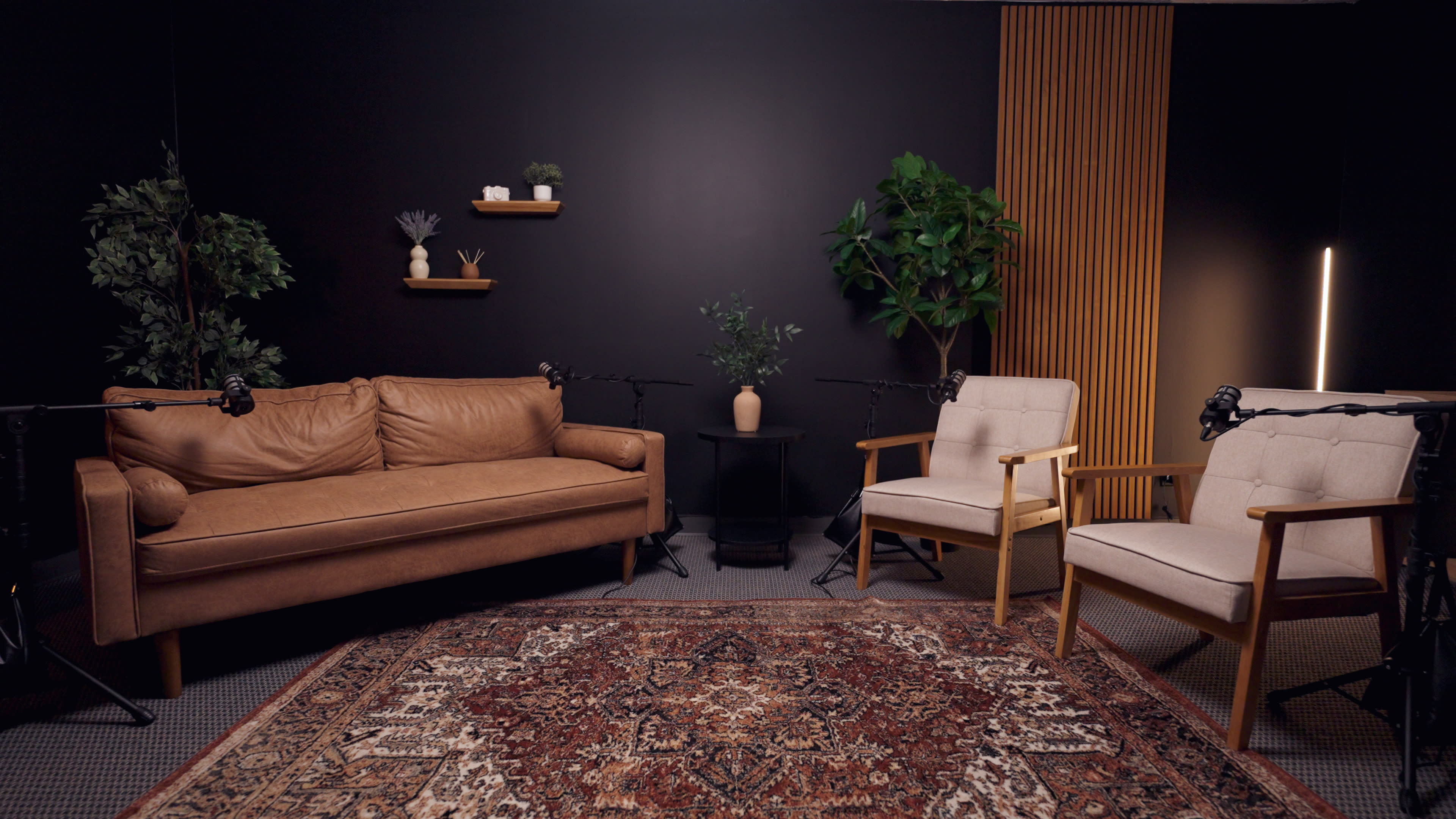 Mid-century Modern Podcast Studio Image in Milton Township, Wheaton, IL