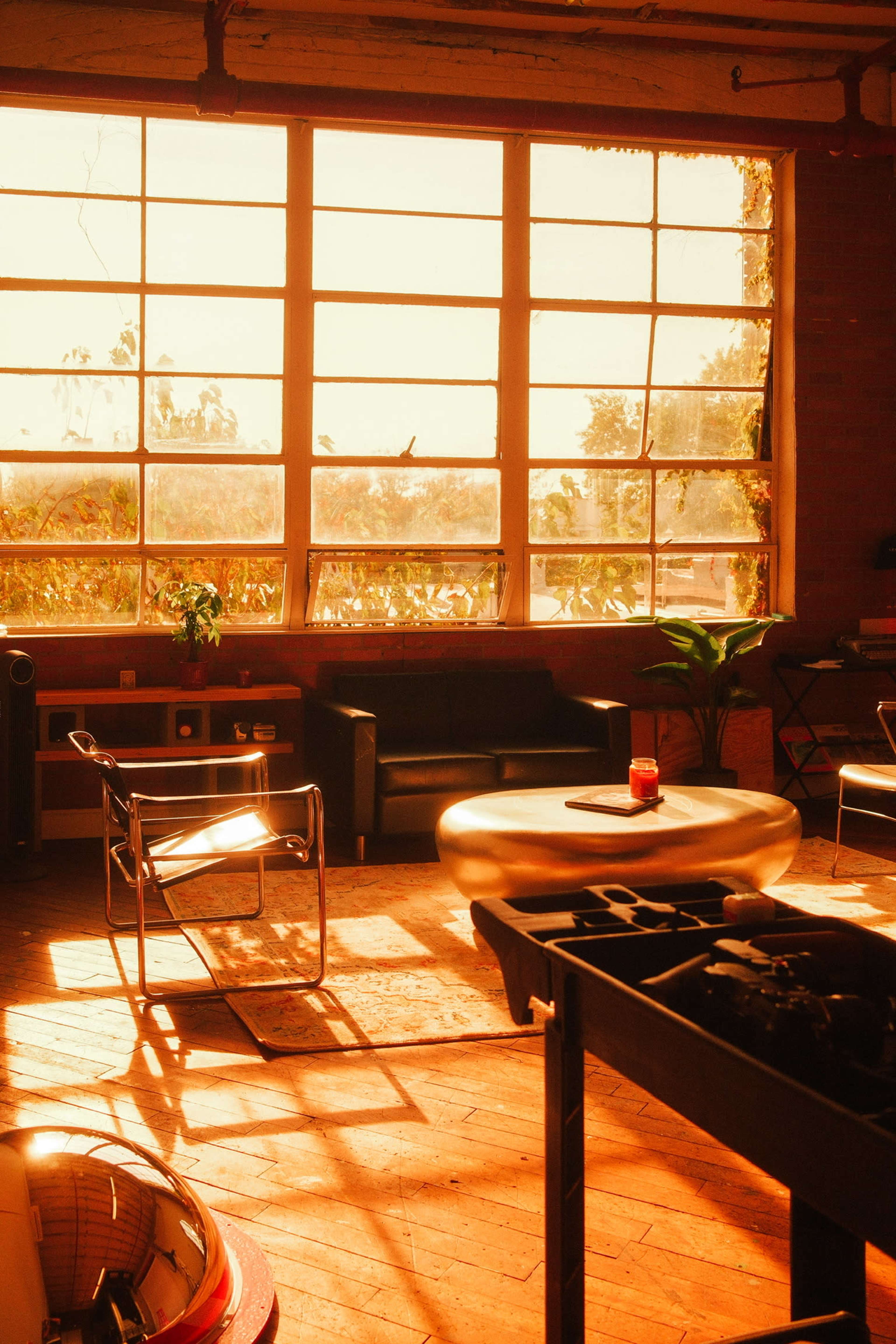 The image shows a sunlit industrial room with large windows, a black couch, a round coffee table, and scattered plants.