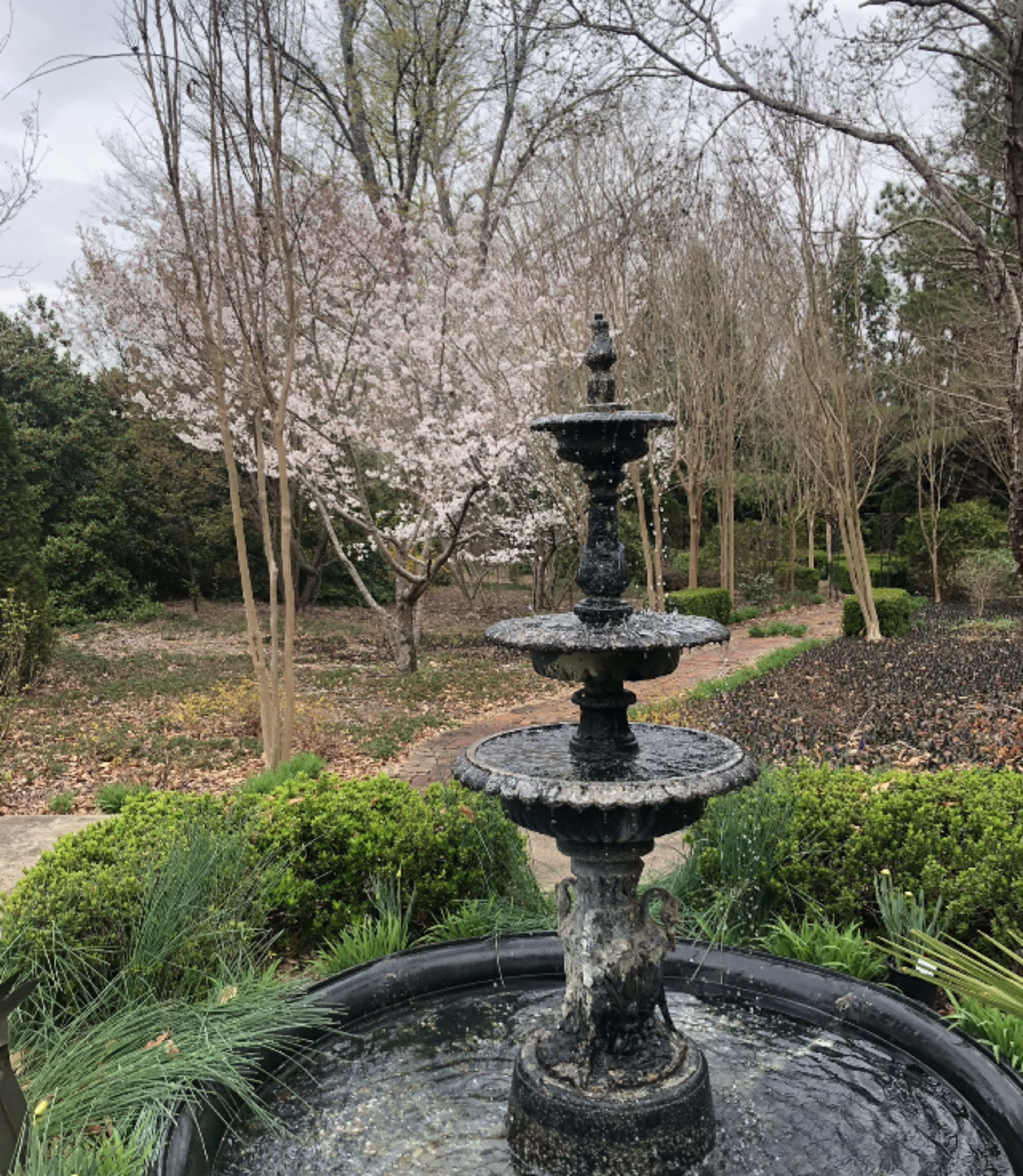 A three-tiered fountain stands in the foreground with a background of budding trees and scattered leaves.