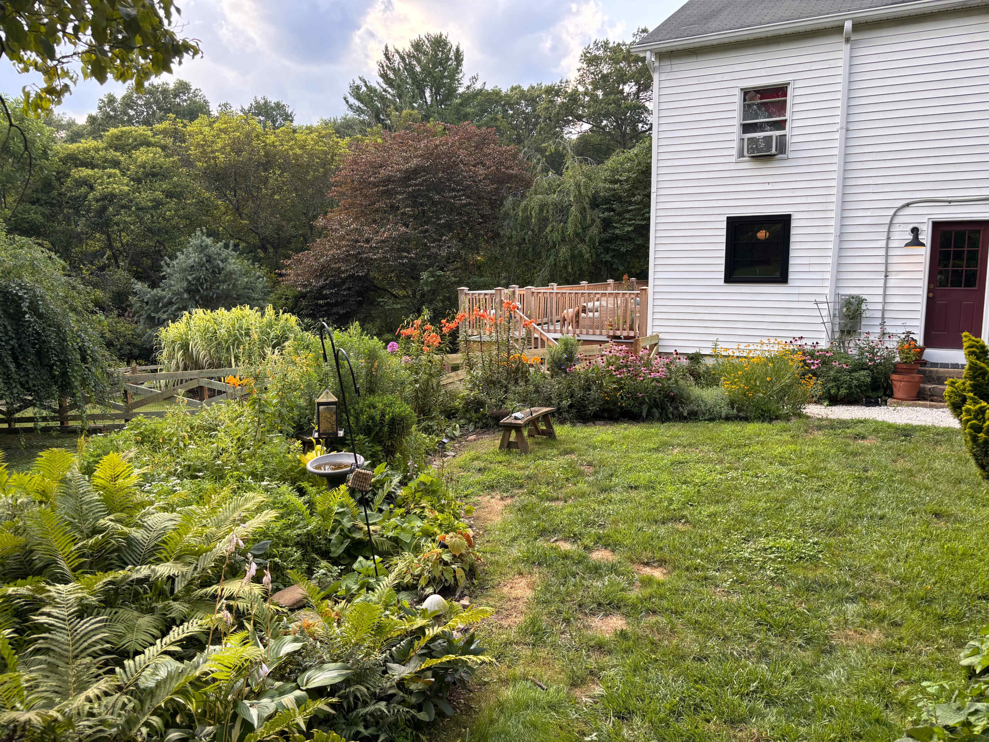 The image shows a backyard garden with various plants, a pathway leading to a deck, and a white house in the background.