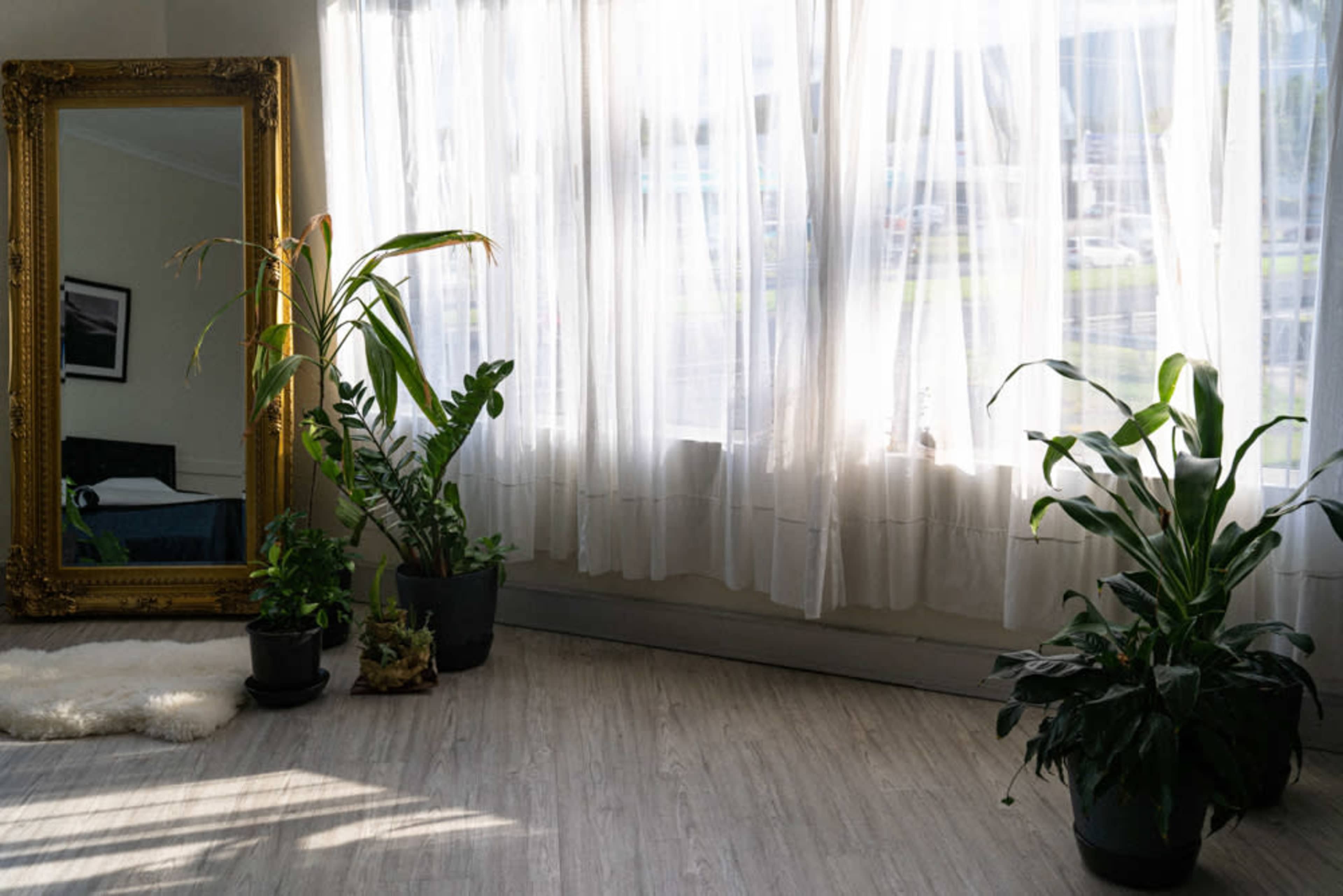A large mirror stands beside two potted plants on a lightly textured floor, with sunlight filtering through sheer white curtains.