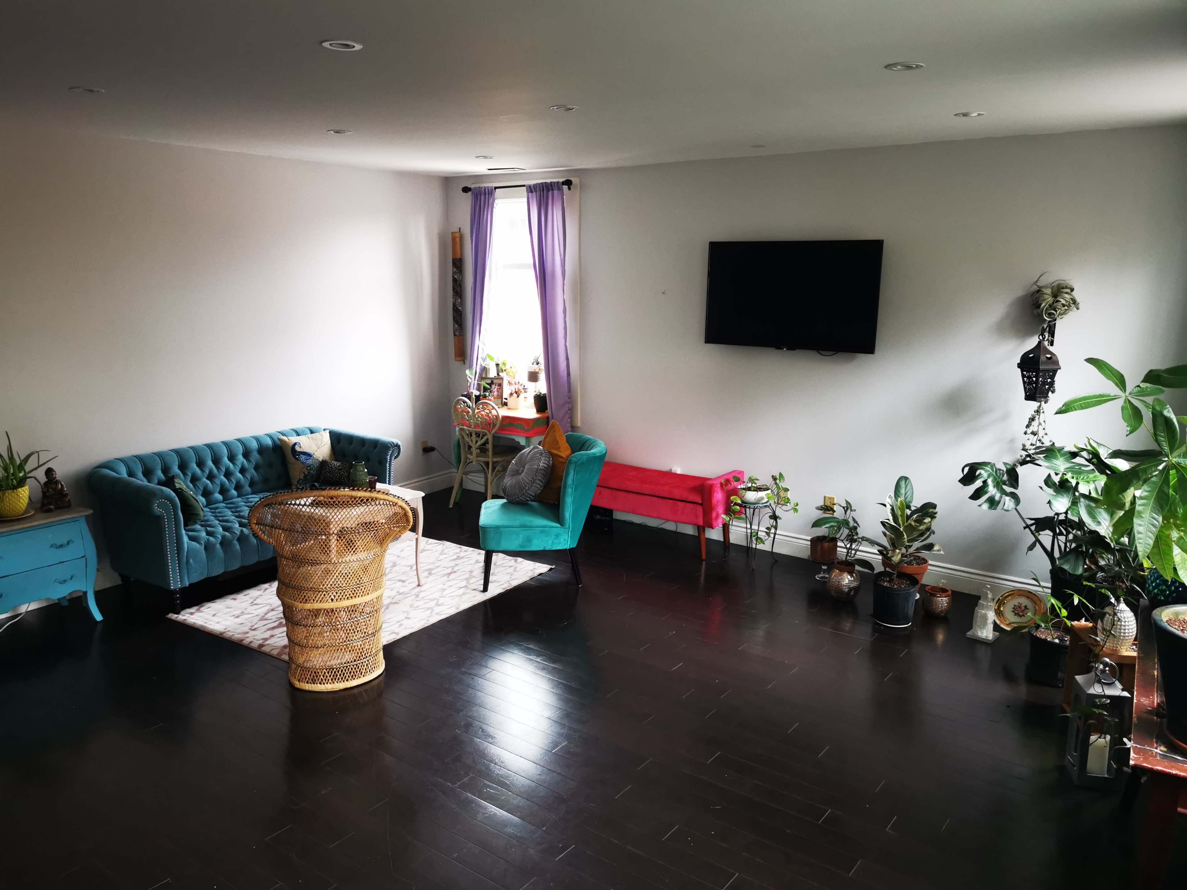 A spacious living room features a teal couch, a bright pink bench, a round wicker chair, and various potted plants on dark wood flooring.
