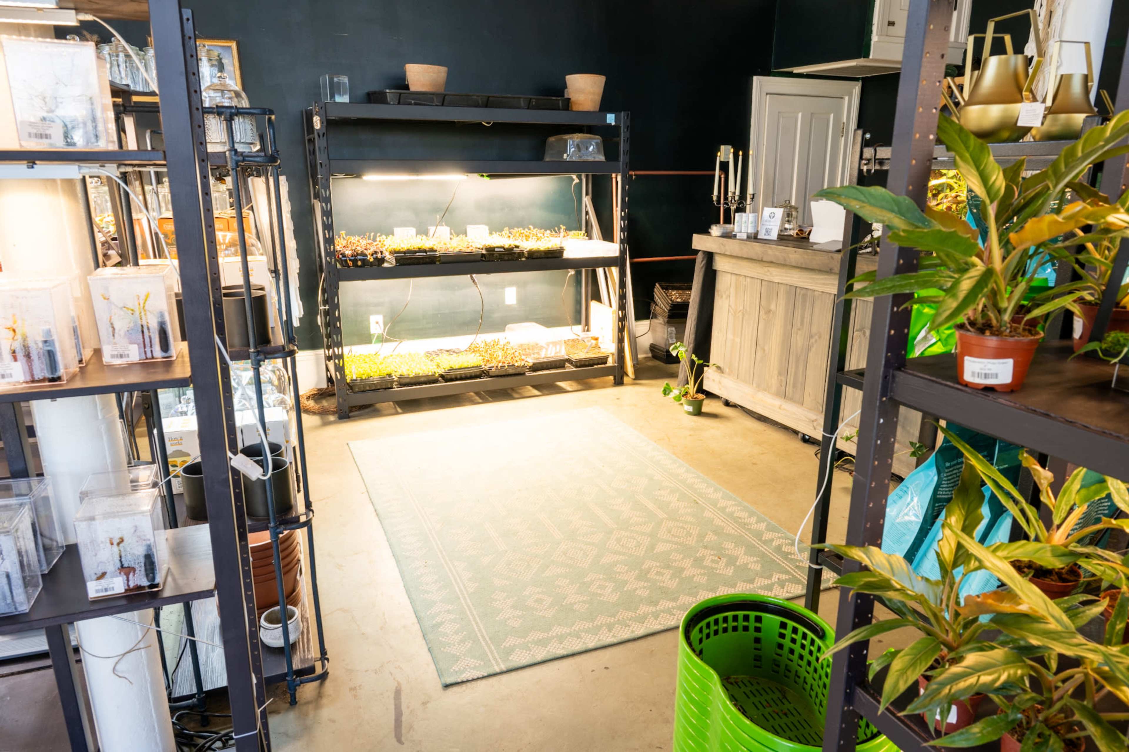 A Space That Feels Alive—Literally Image in Marigny, New Orleans, LA