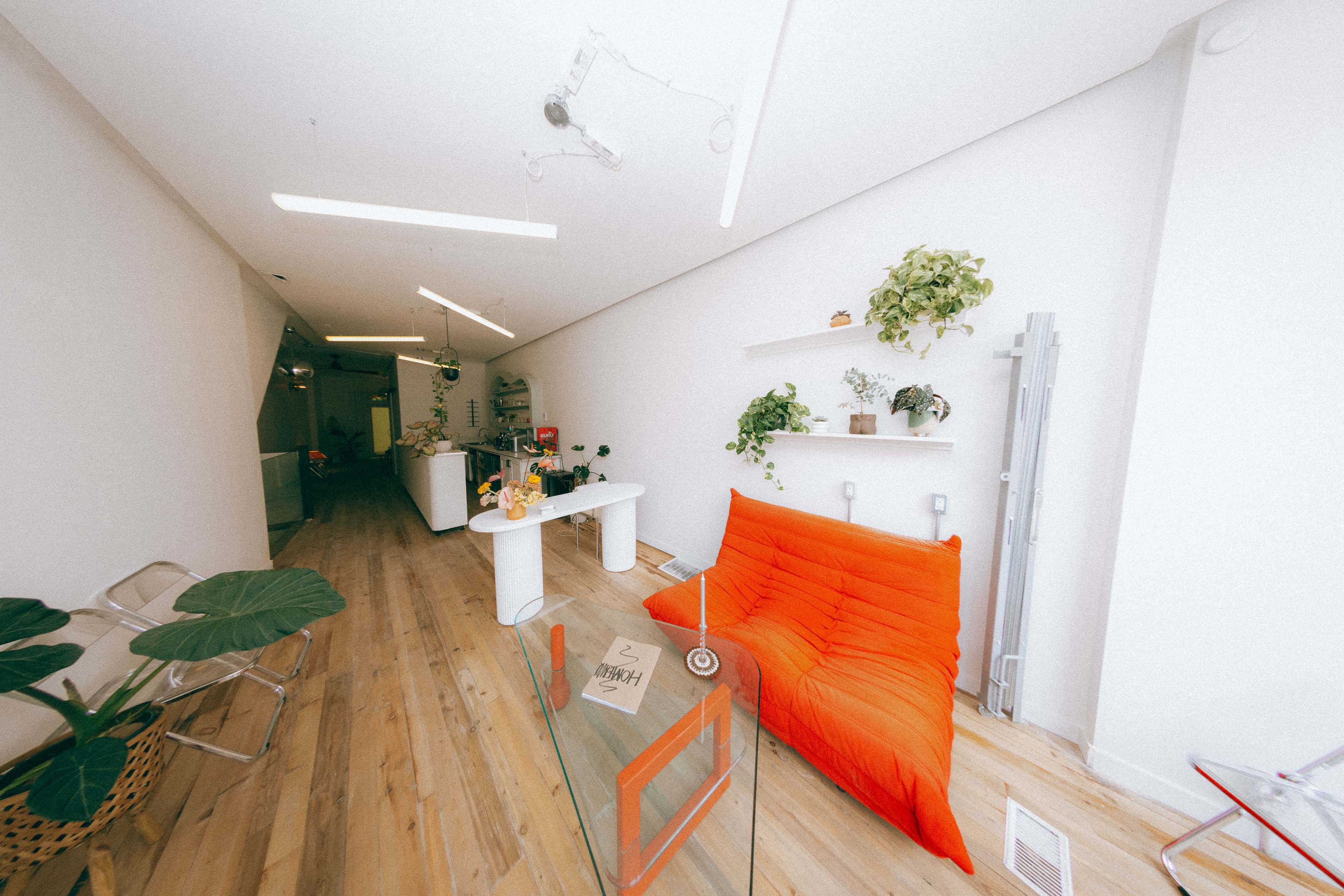 A bright, minimalist interior of an elongated room featuring a red sofa, a glass table, and various plants on shelves and surfaces.