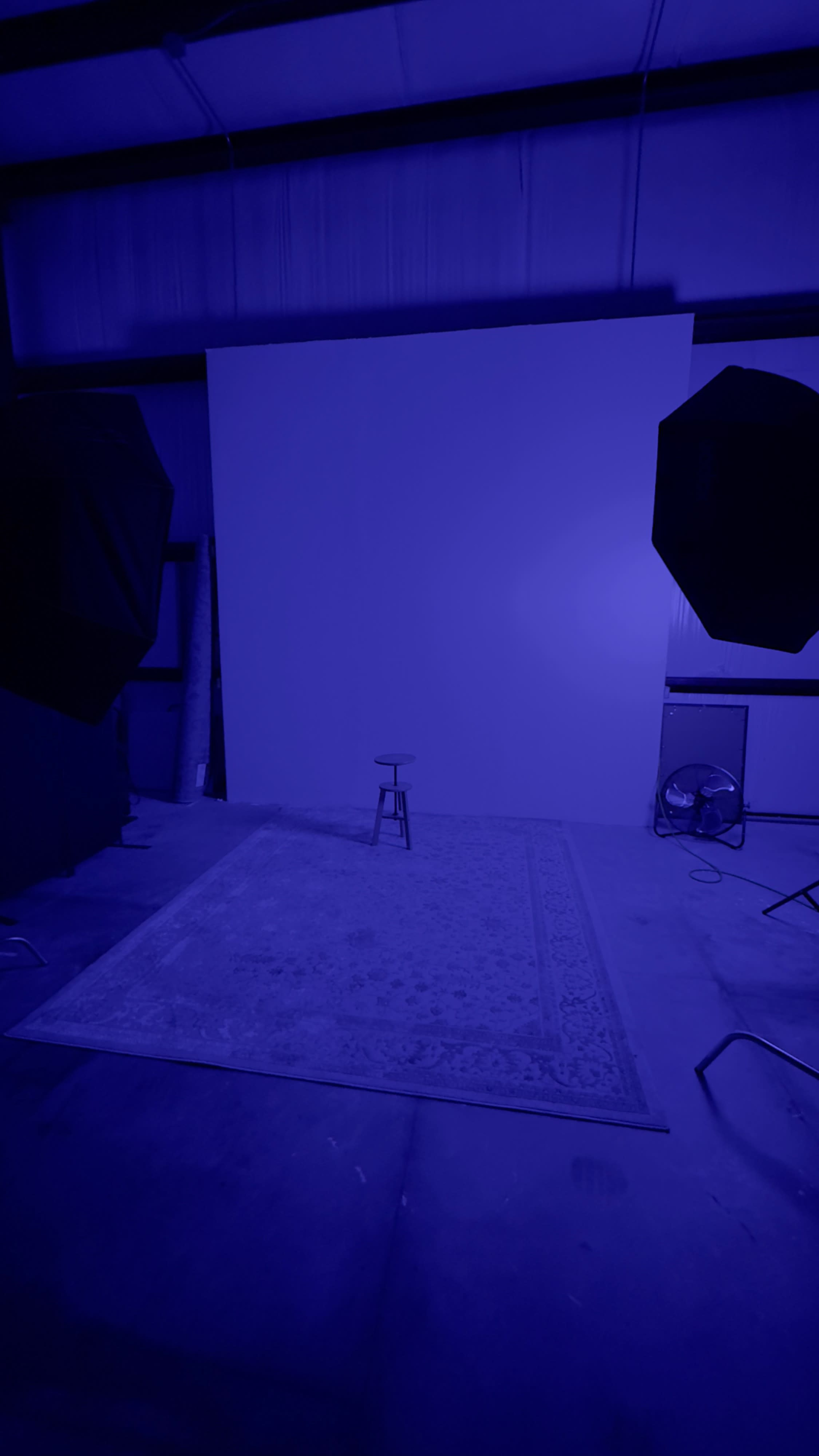 Spring | Klein Photography Studio Image in , Spring, TX