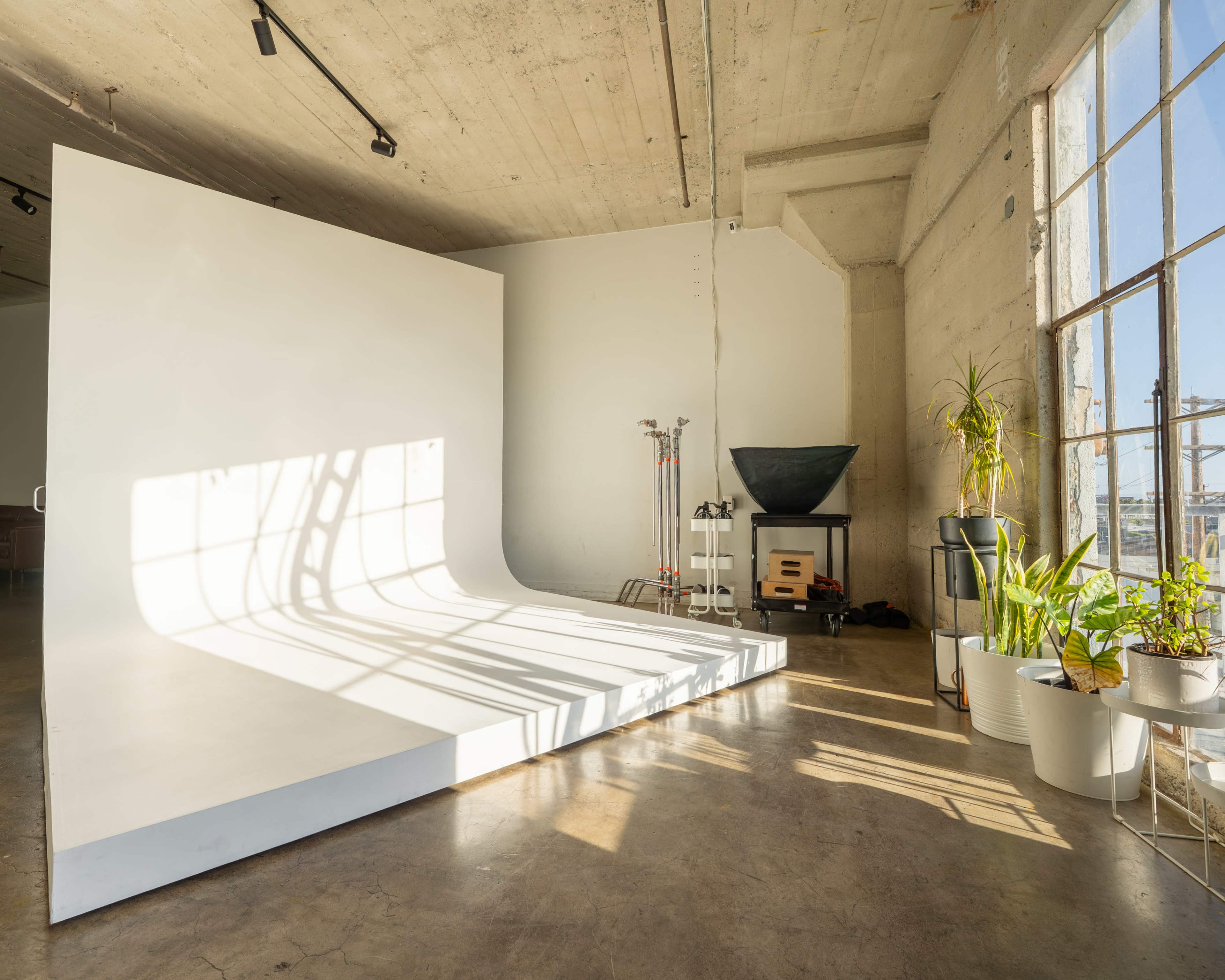 The image shows a bright, minimalistic studio space with a curved white backdrop, large windows allowing natural light, and various plants in white pots.