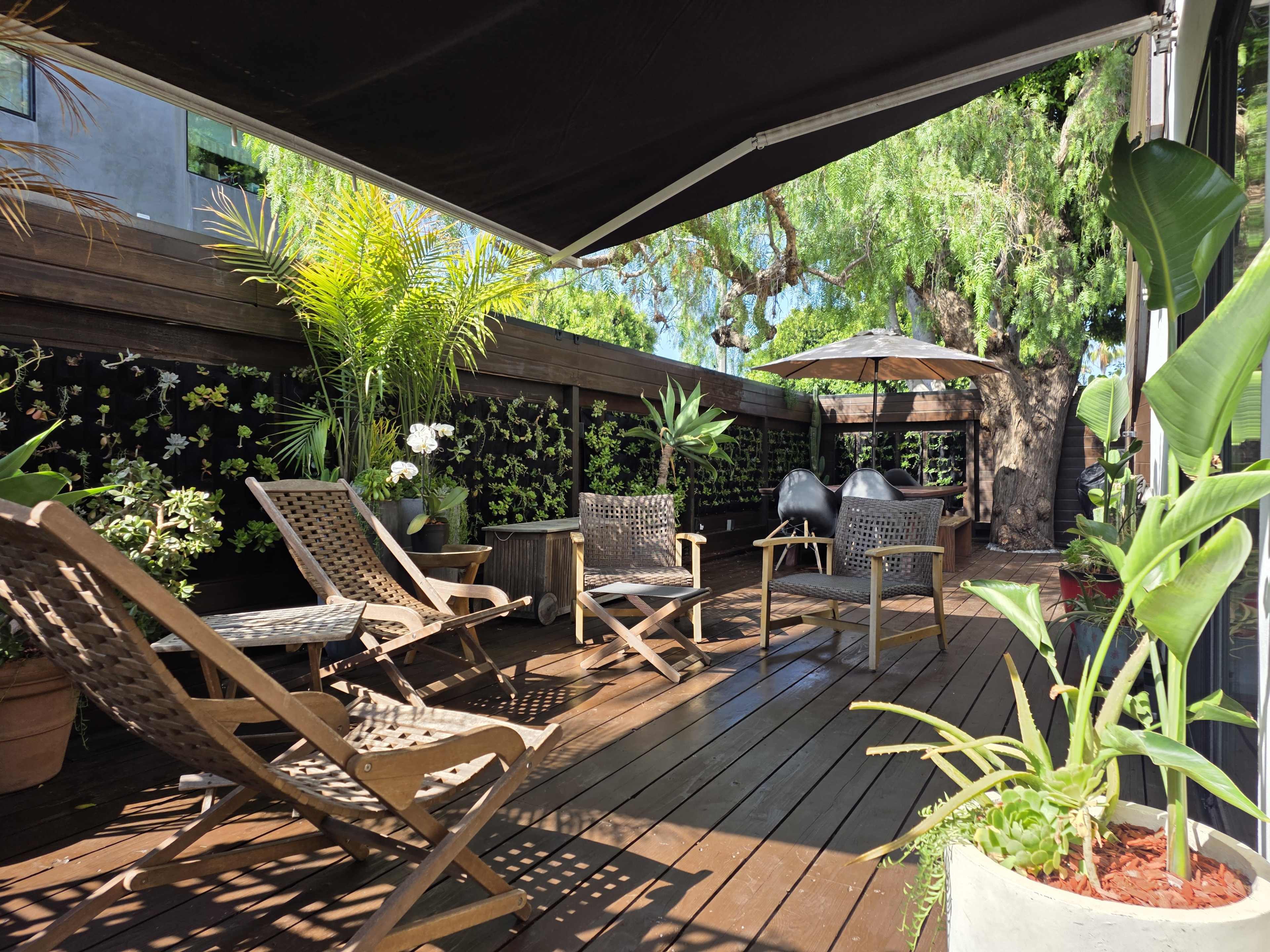 The image shows a wooden deck area with several lounge chairs, potted plants, and a shaded seating arrangement under a large tree.