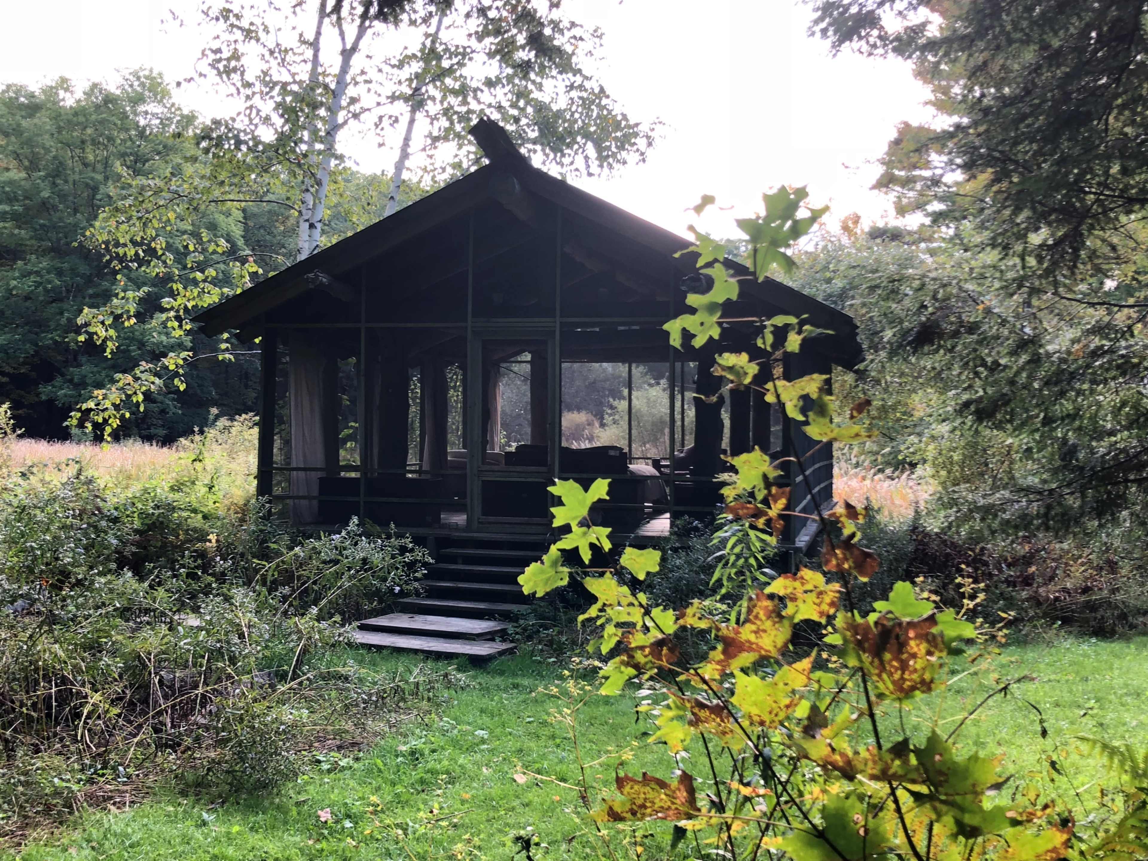 A wooden cabin with a front porch is surrounded by overgrown greenery and trees in a natural setting.
