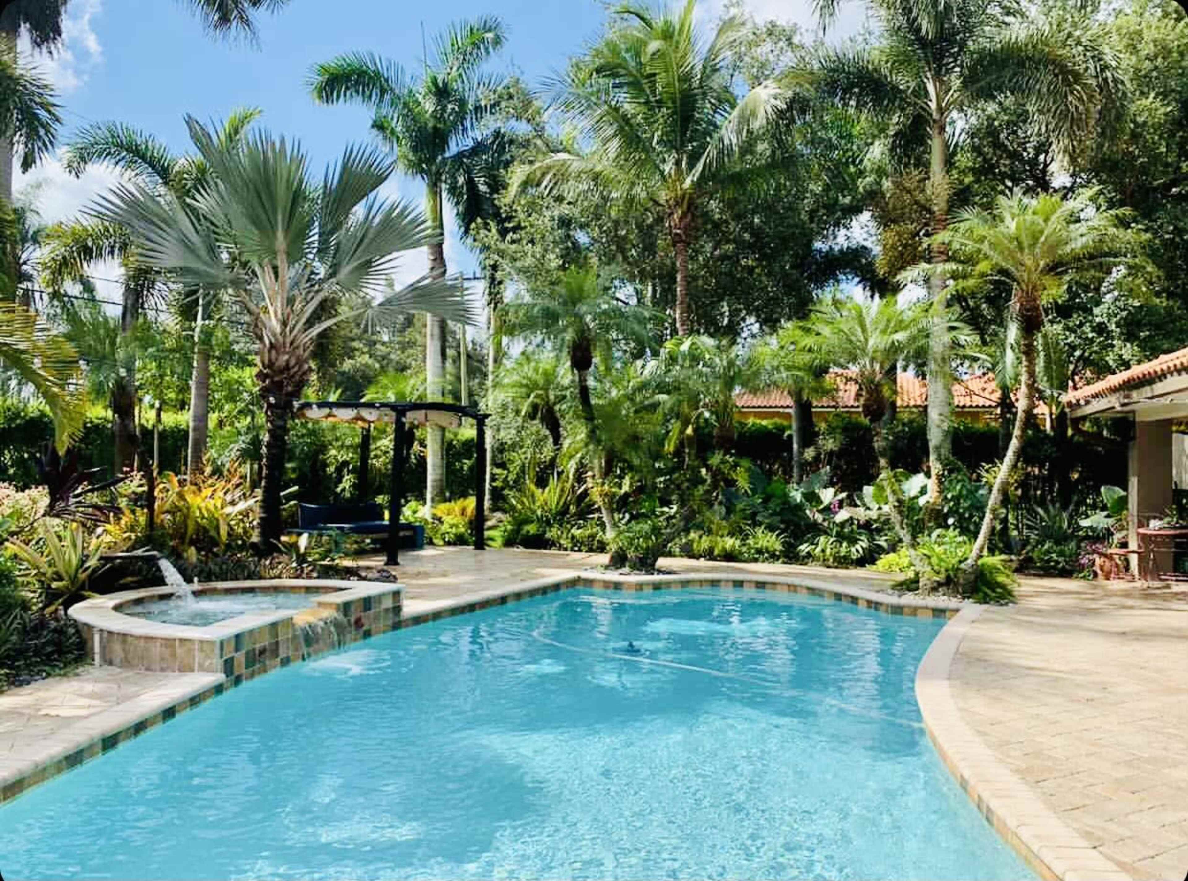 A backyard pool surrounded by tropical plants and palm trees.