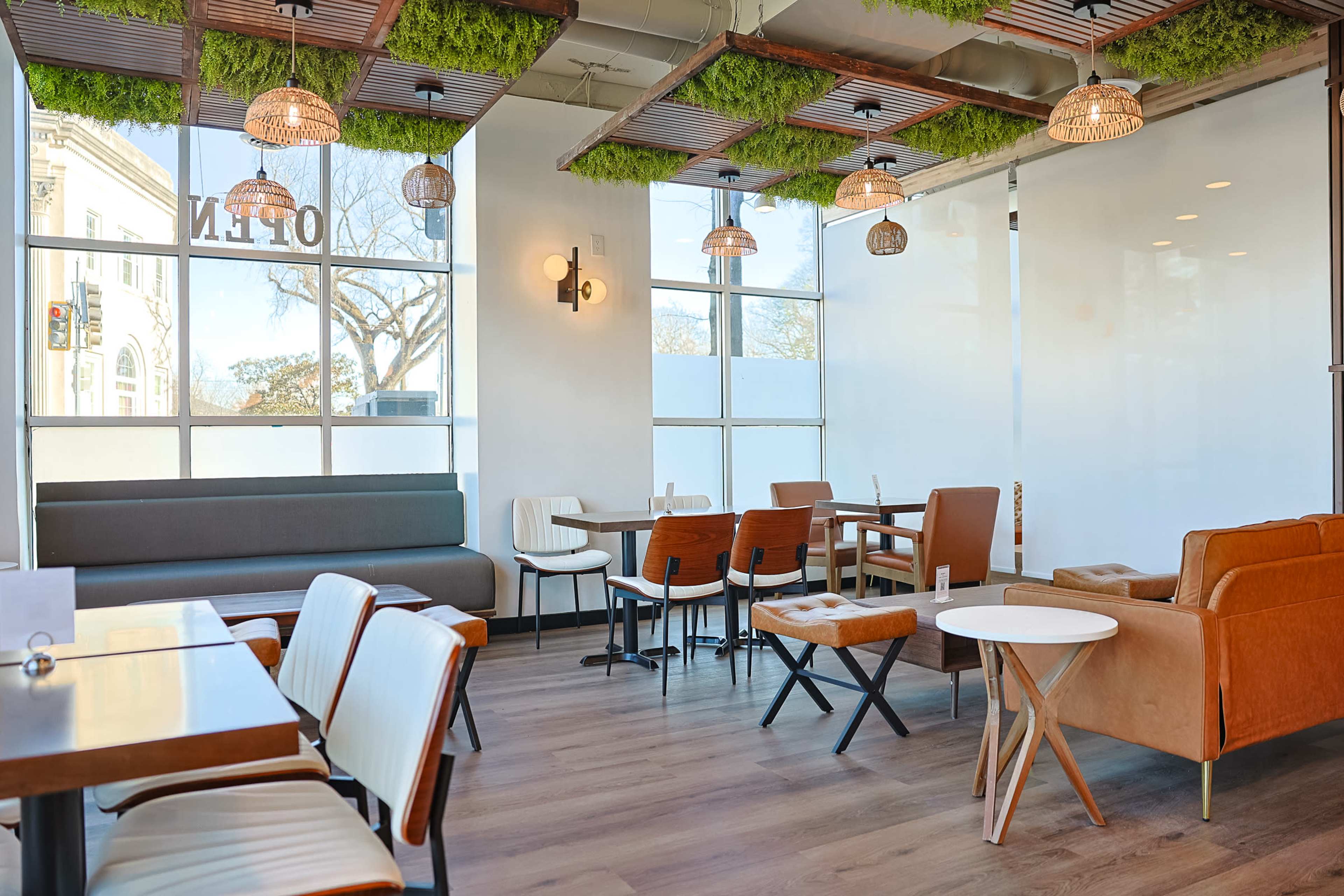 The image shows a modern café interior with wooden tables, a mix of chairs, and green plants hanging from the ceiling, complemented by large windows letting in natural light.