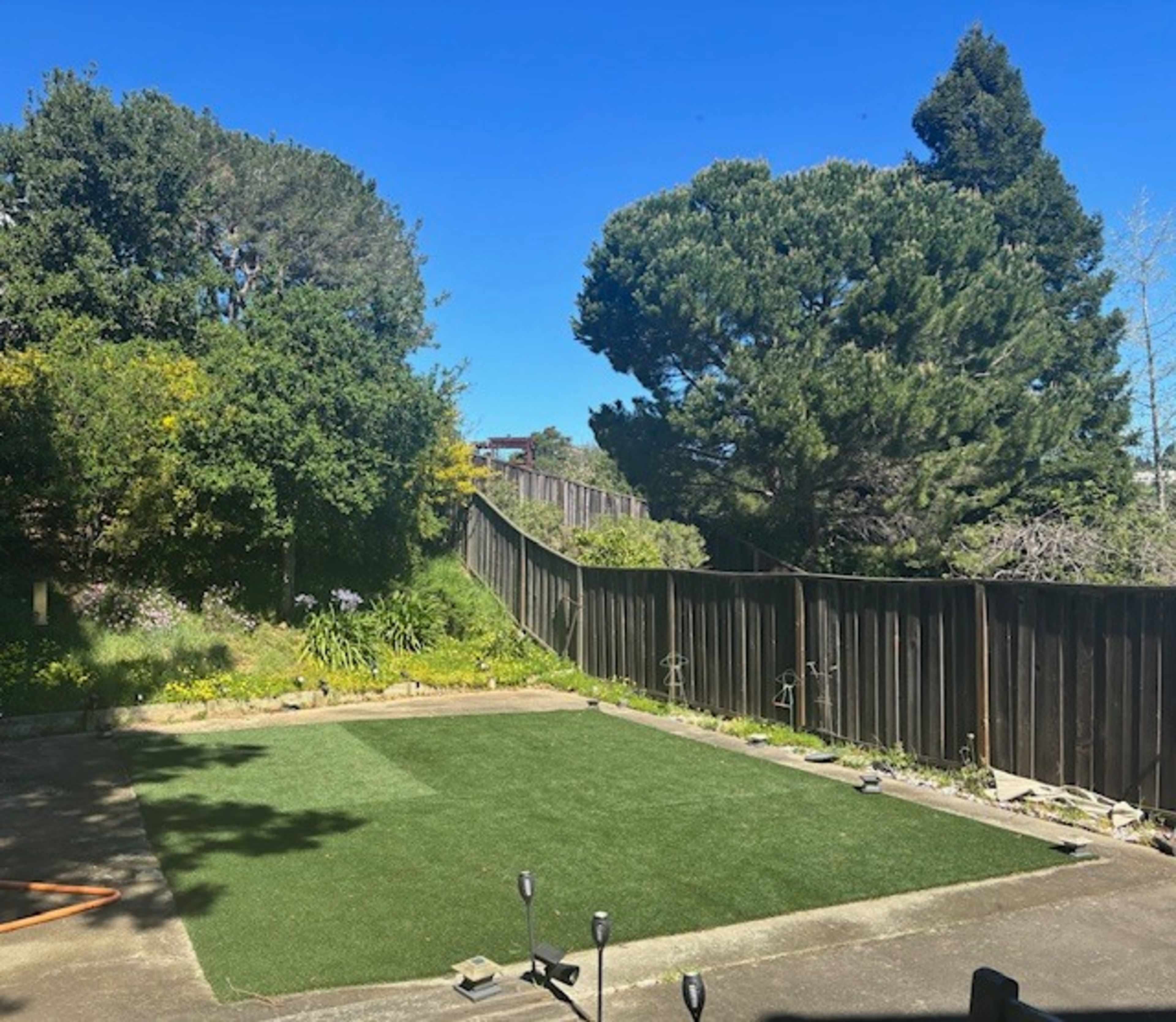 The image shows a green artificial turf area surrounded by trees and a wooden fence under a clear blue sky.