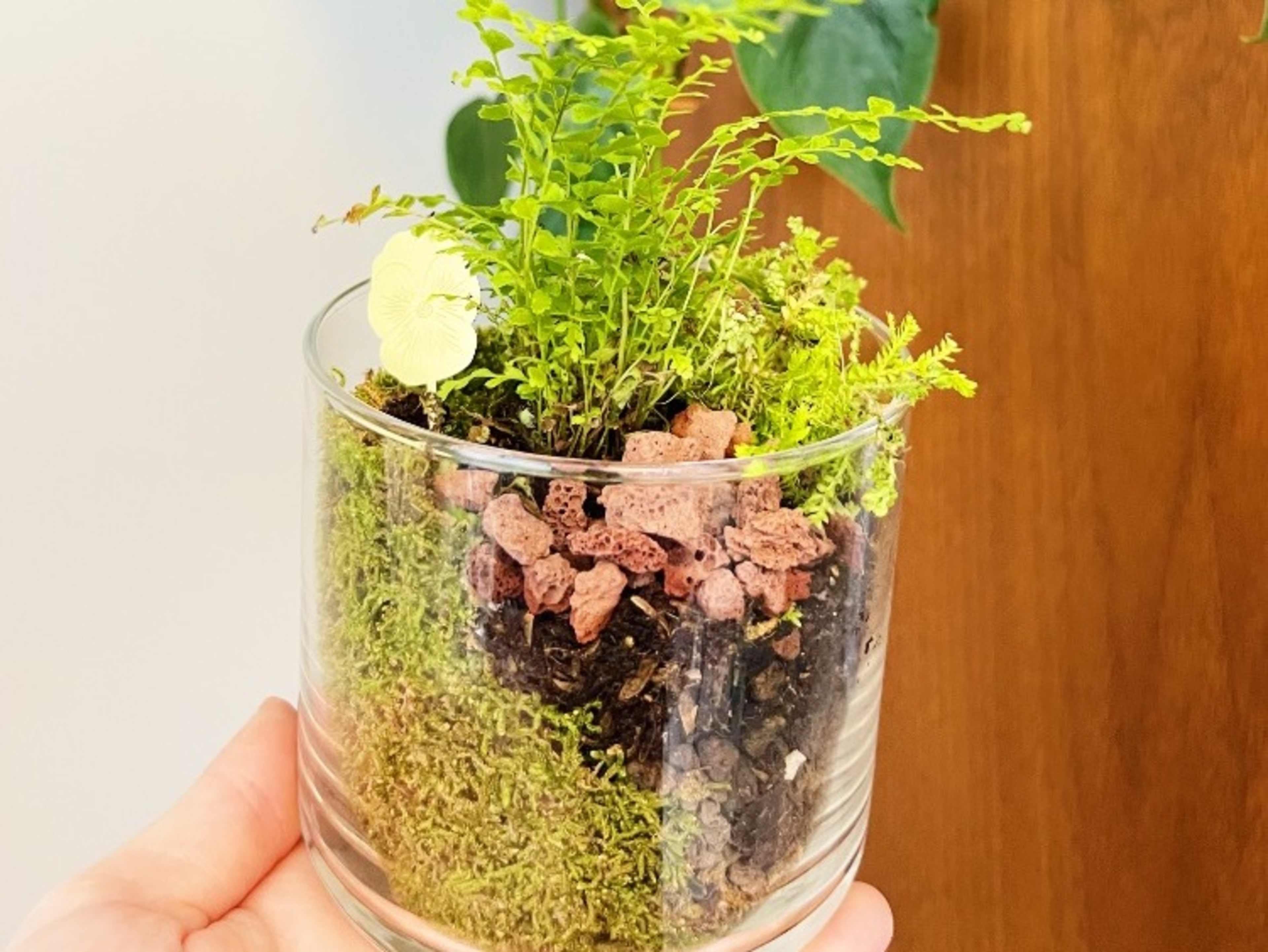 Terrarium Building Experience