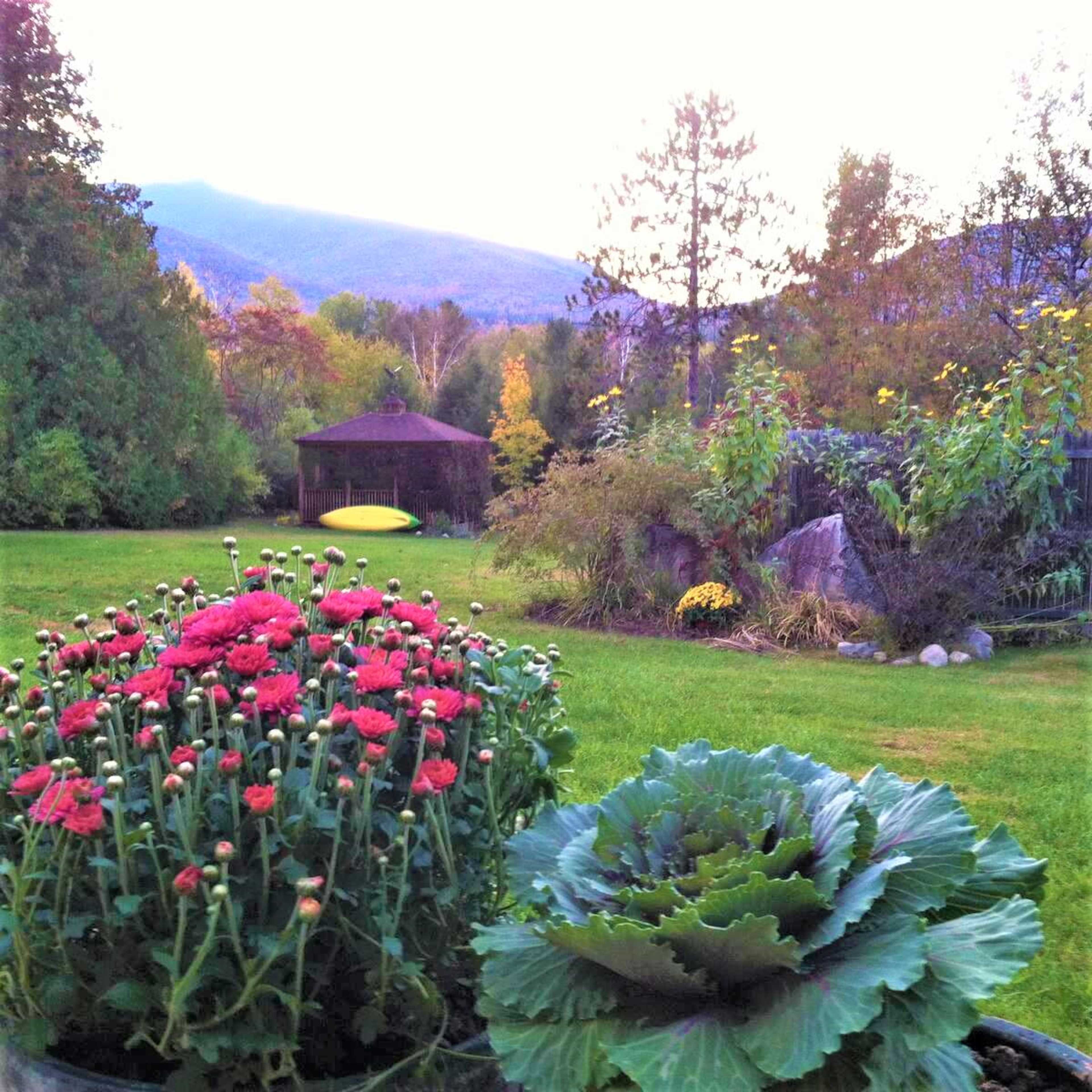A garden with vibrant flowers in the foreground and a gazebo in the background, surrounded by trees and mountains.