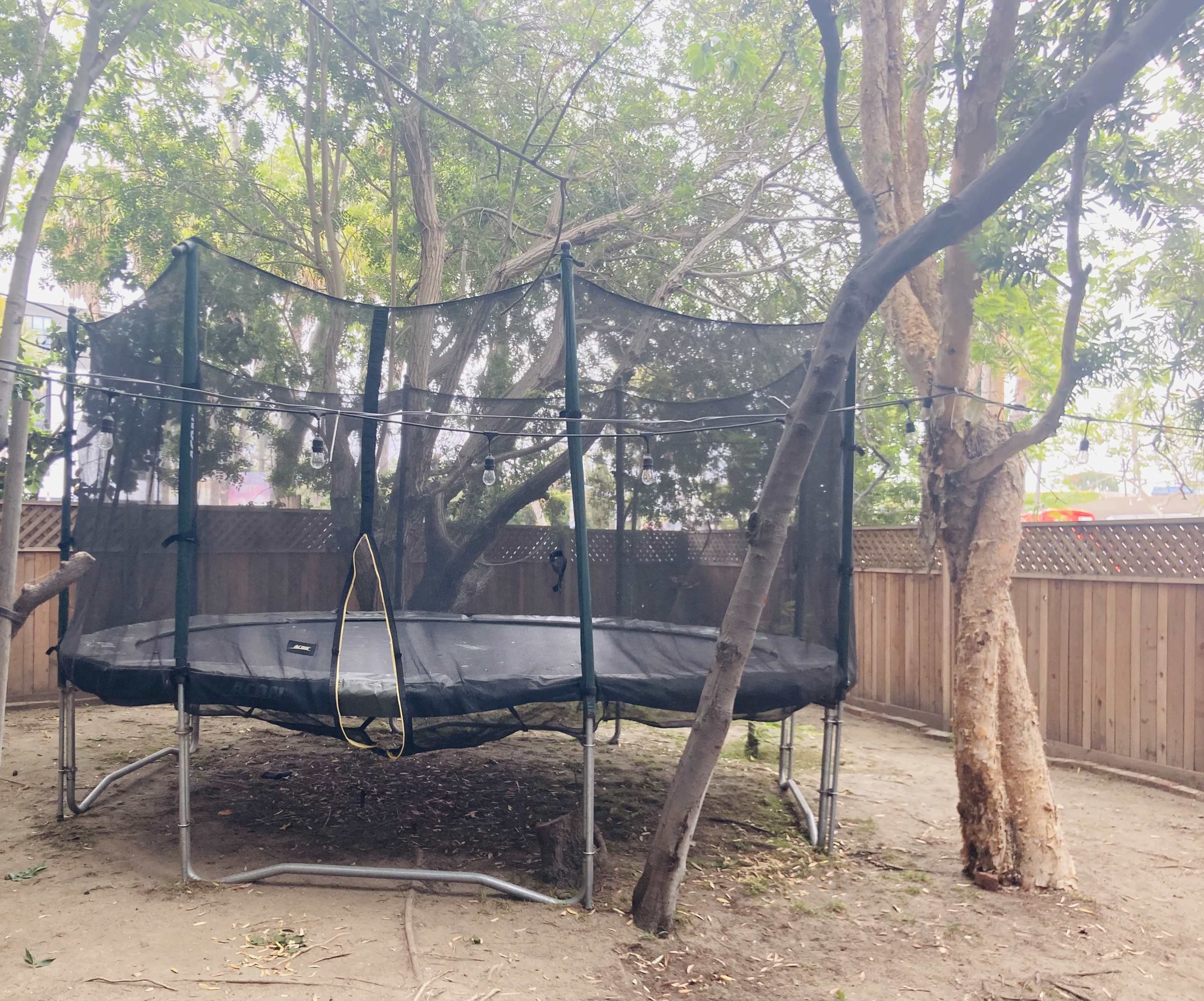 Venice beach house perfect for garden parties Image in Venice, venice, CA