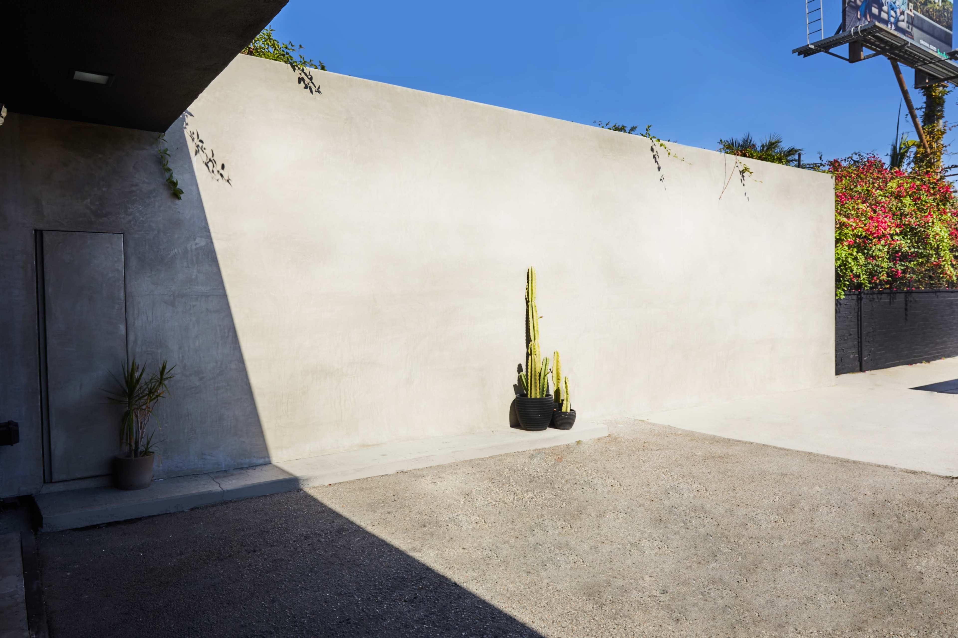 A concrete wall with a shadow casts over a gravel area features a tall cactus in a black pot along the base.